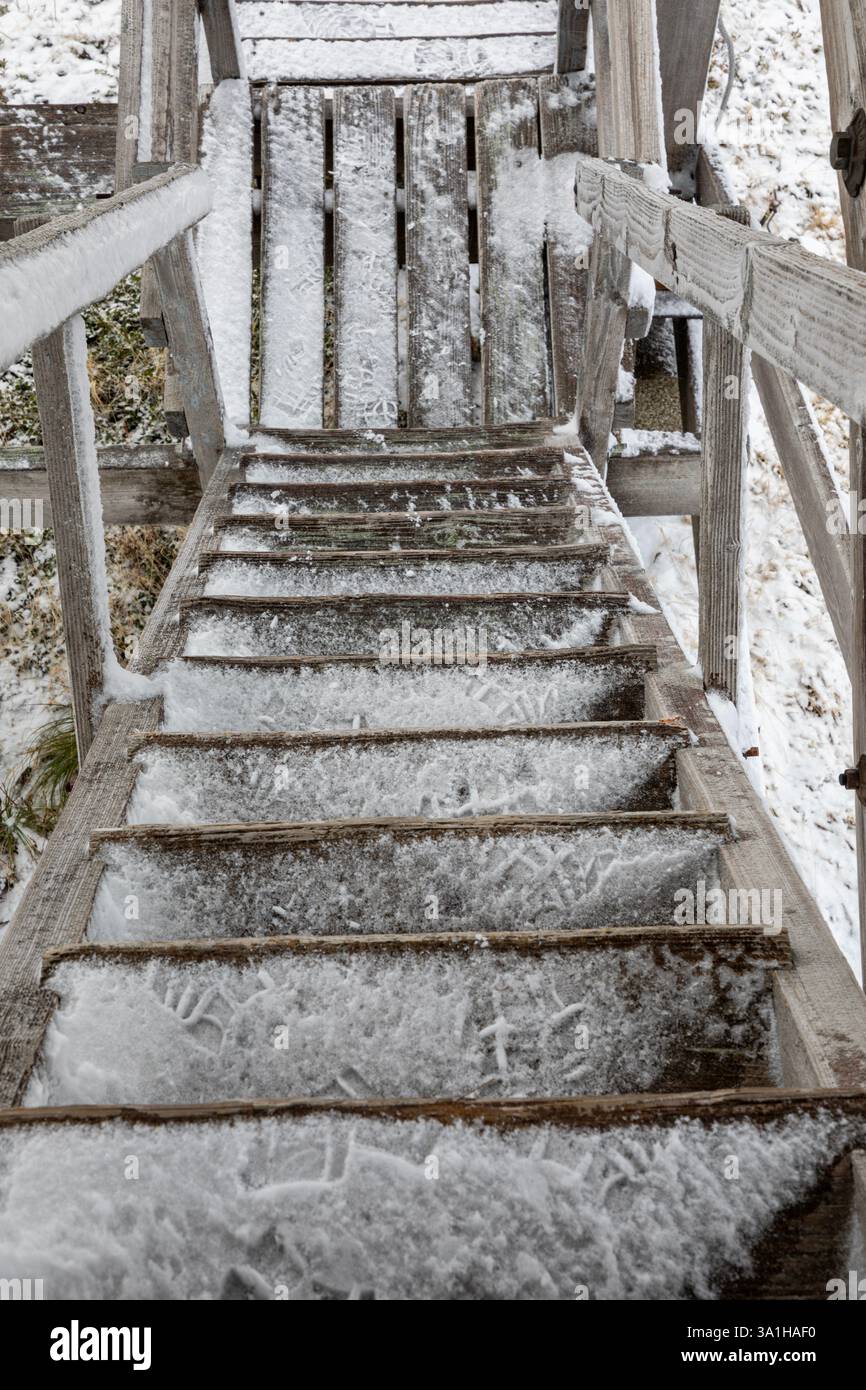 WA28164-00...WASHINGTON - escaliers recouverts de neige et de glace au puyallup Fire Lookout à Kapowsin Tree Farm. Banque D'Images