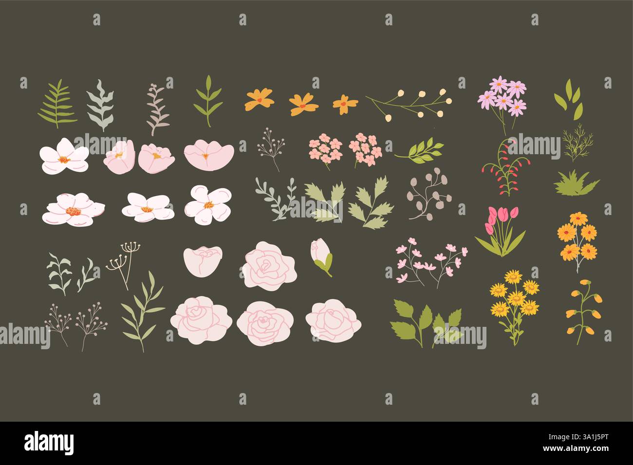 Illustration florale colorée avec diverses variétés de fleurs sur fond sombre. Illustration de Vecteur