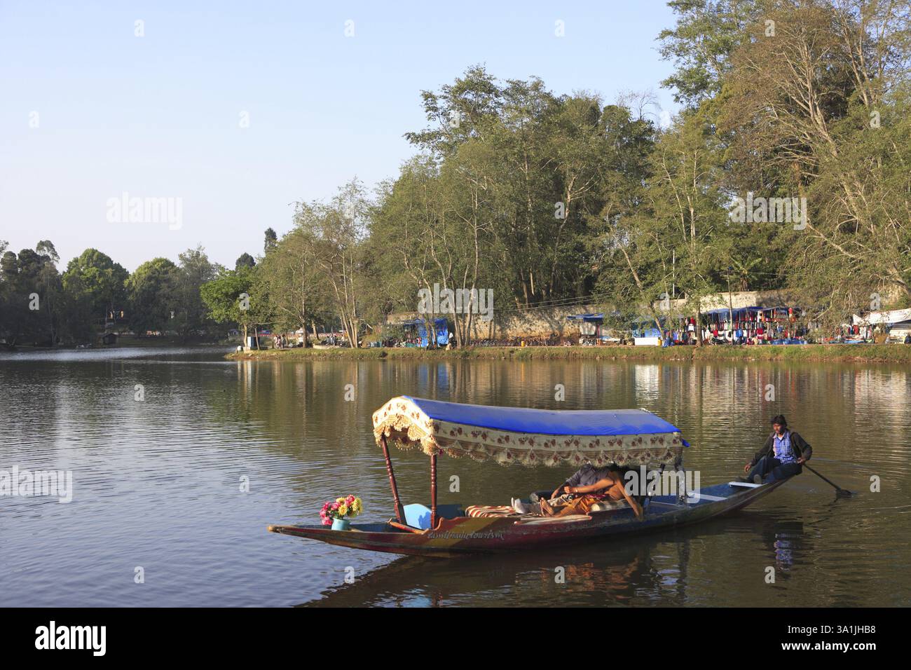 Homme bateau à rames dans le lac, Hill Station Kodaikanal, Tamil Nadu, Inde, Asie Banque D'Images