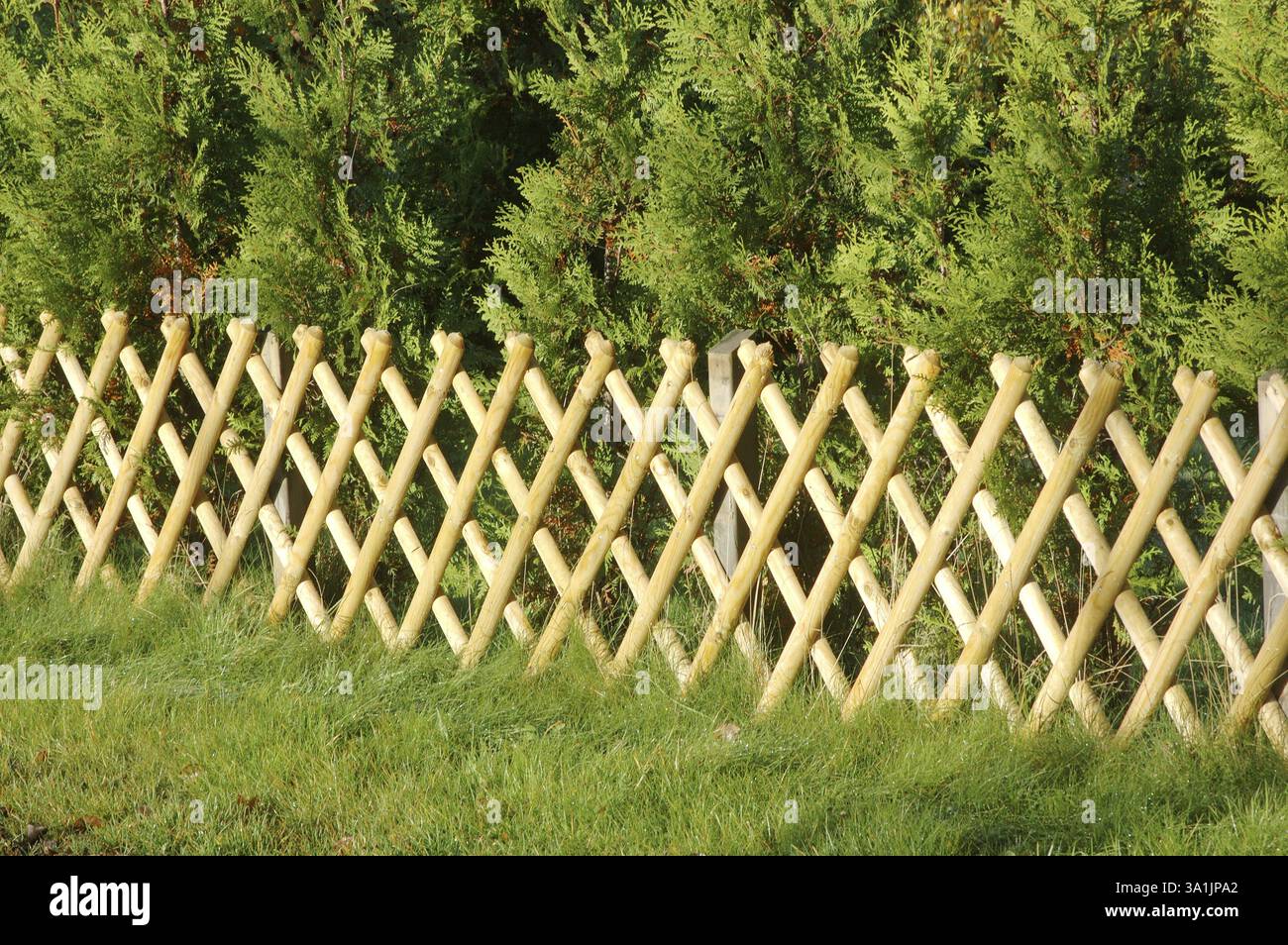 Composé en bambou, grime et combinaison jaune, Gothenburg, Suède, Europe Banque D'Images