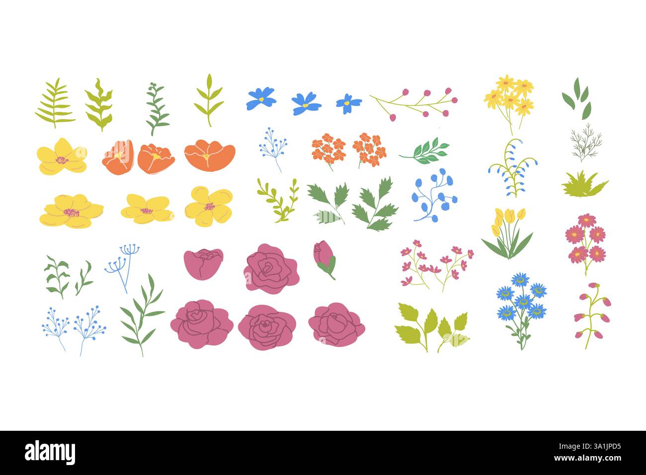 Collection d'illustrations florales colorées avec diverses fleurs. Illustration de Vecteur Collection d'illustrations florales colorées avec diverses fleurs. Illustration de Vecteur