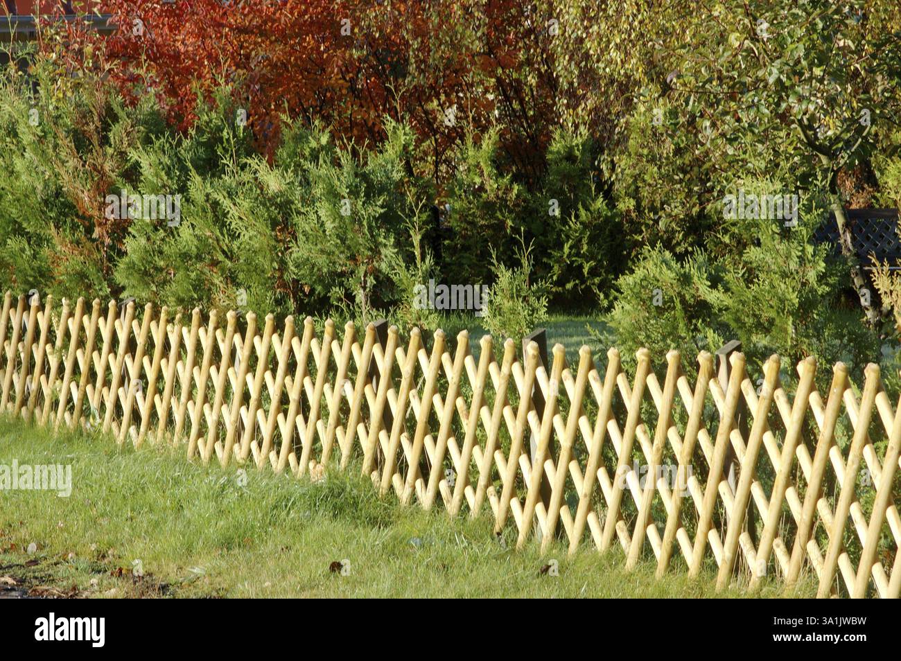 Composé en bambou, grime et combinaison jaune, Gothenburg, Suède, Europe Banque D'Images