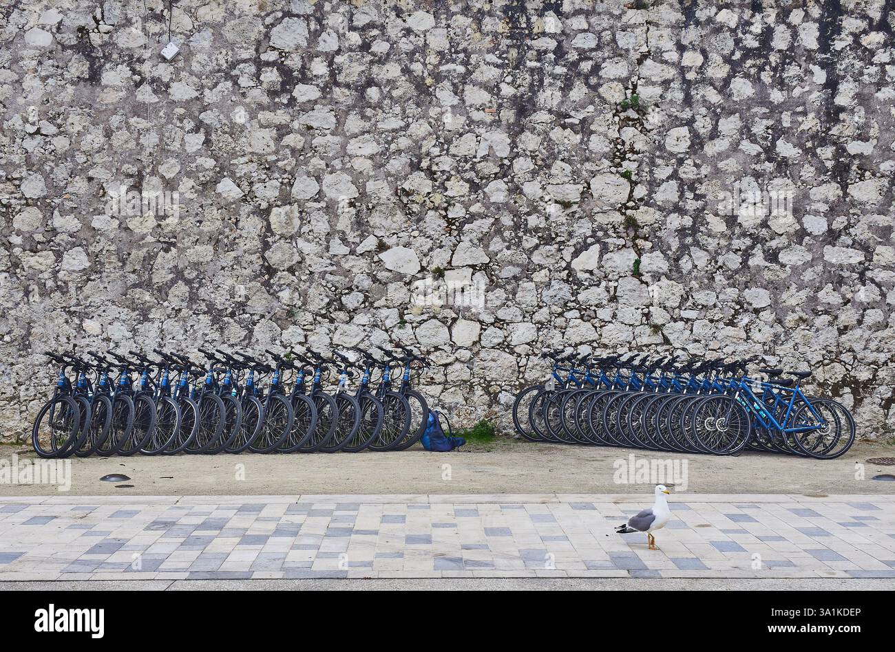 Rangée de vélos bleus alignés contre un ancien mur de la ville de pierre à l'extérieur Banque D'Images