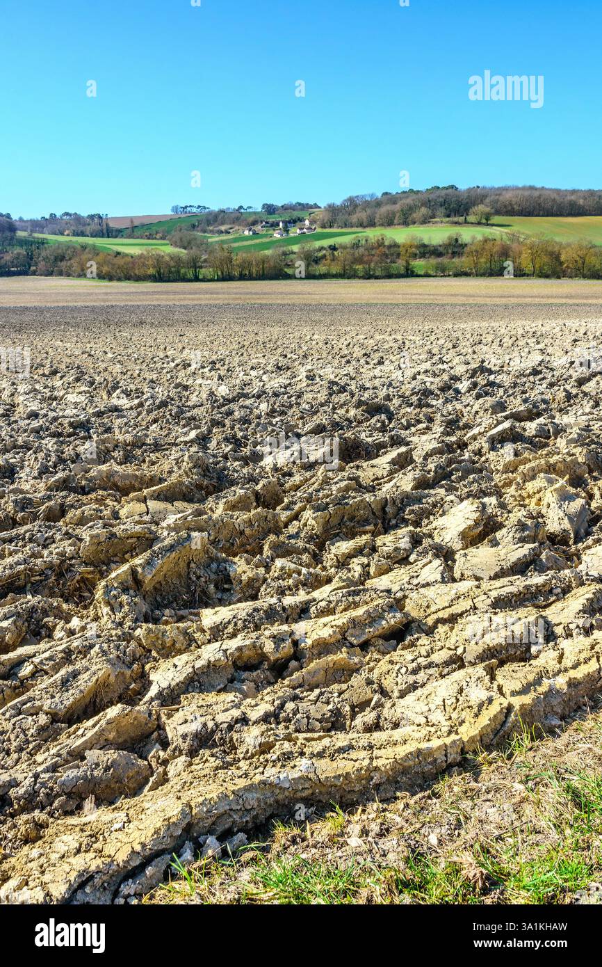 Grand champ labouré - Preuilly-sur-Claise, Indre-et-Loire (37), France. Banque D'Images