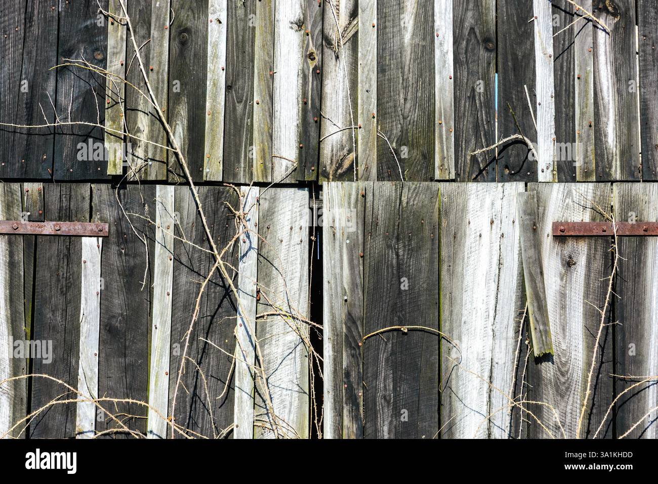 Détail d'un ancien hangar en bois dans un champ agricole avec planches altérées et blanchies par le soleil - Bossay-sur-Claise, Indre-et-Loire (37), France. Banque D'Images