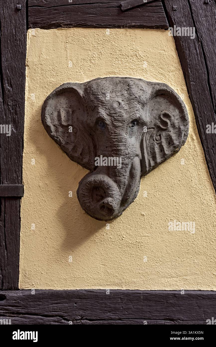 Tête d'éléphant, sculpture modelée en argile par le sculpteur et sculpteur Ulrich Seidenberg, Café et Bistro Elefantenhaus, maison à colombages restaurée, salut Banque D'Images