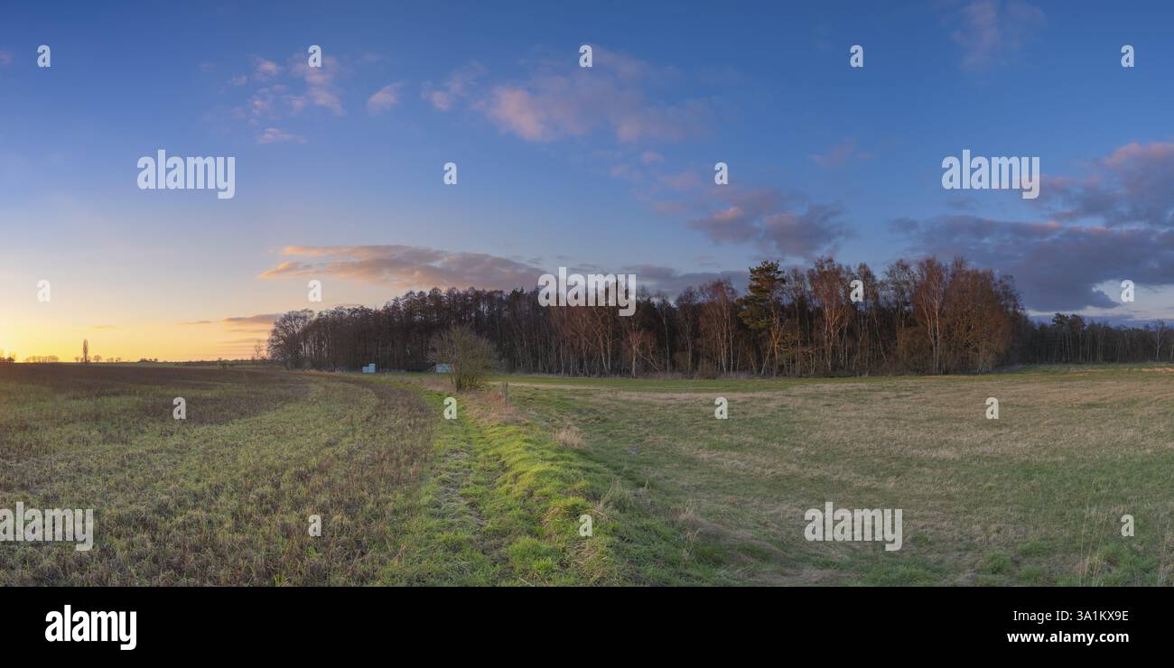 Vue à travers un champ et prairie à un petit bois illuminé par le soleil du soir, nuages, ciel bleu, contre-jour, photo de paysage, format paysage, paNAram Banque D'Images