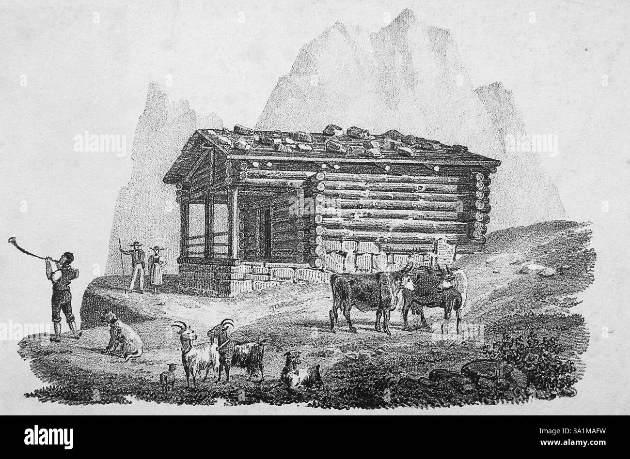 Illustration, agriculture, culture, extérieur, agriculteur, ferme, biologie, représentation, jardin, jardinage, jardinage, historique, illustration, cour de ferme, c Banque D'Images