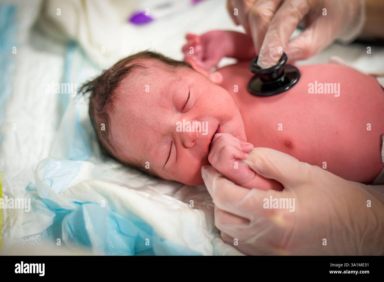 vue d'un bébé le jour de la naissance en cours d'examen médical à la maternité Banque D'Images