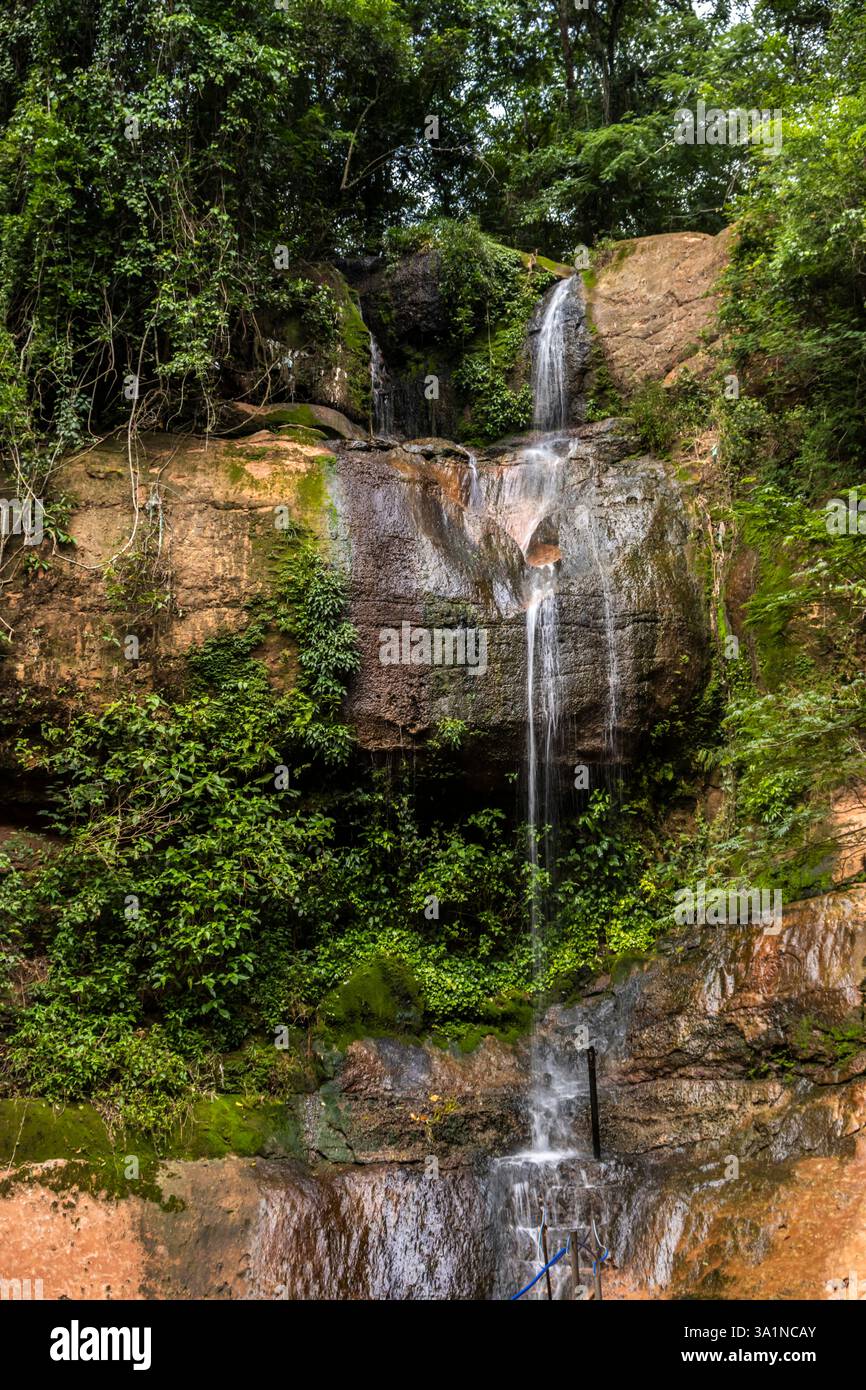 L'eau d'un ruisseau tombe sur des rochers pour former une petite cascade à l'intérieur d'une forêt atlantique au Brésil Banque D'Images