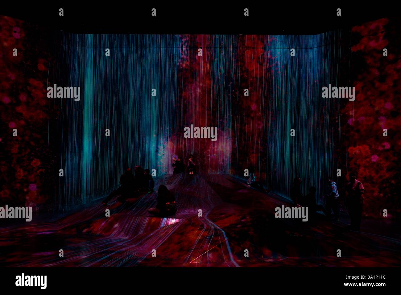 Immergé dans un paysage de rêve numérique au Teamlab Borderless à Tokyo Banque D'Images