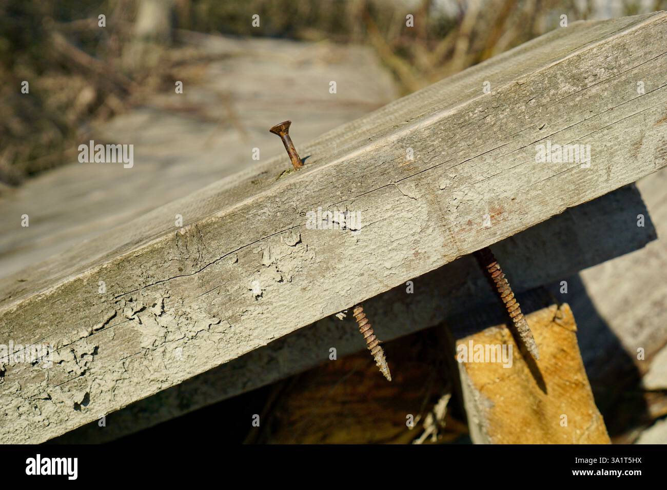 Gros clou rouillé enfoncé dans une planche de bois dépassant de l'autre côté, danger de tétanos. Photo de haute qualité Banque D'Images