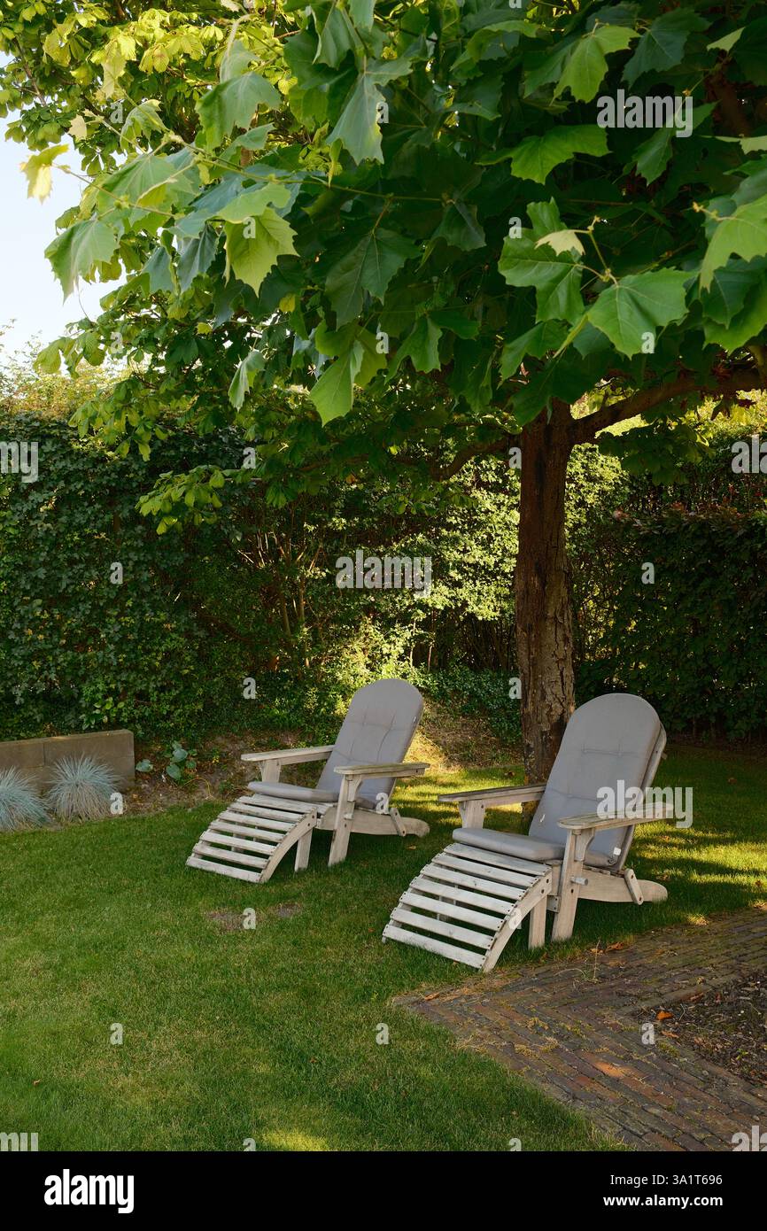 Deux chaises adirondack vides reposant paisiblement sous l'arbre d'ombre Banque D'Images
