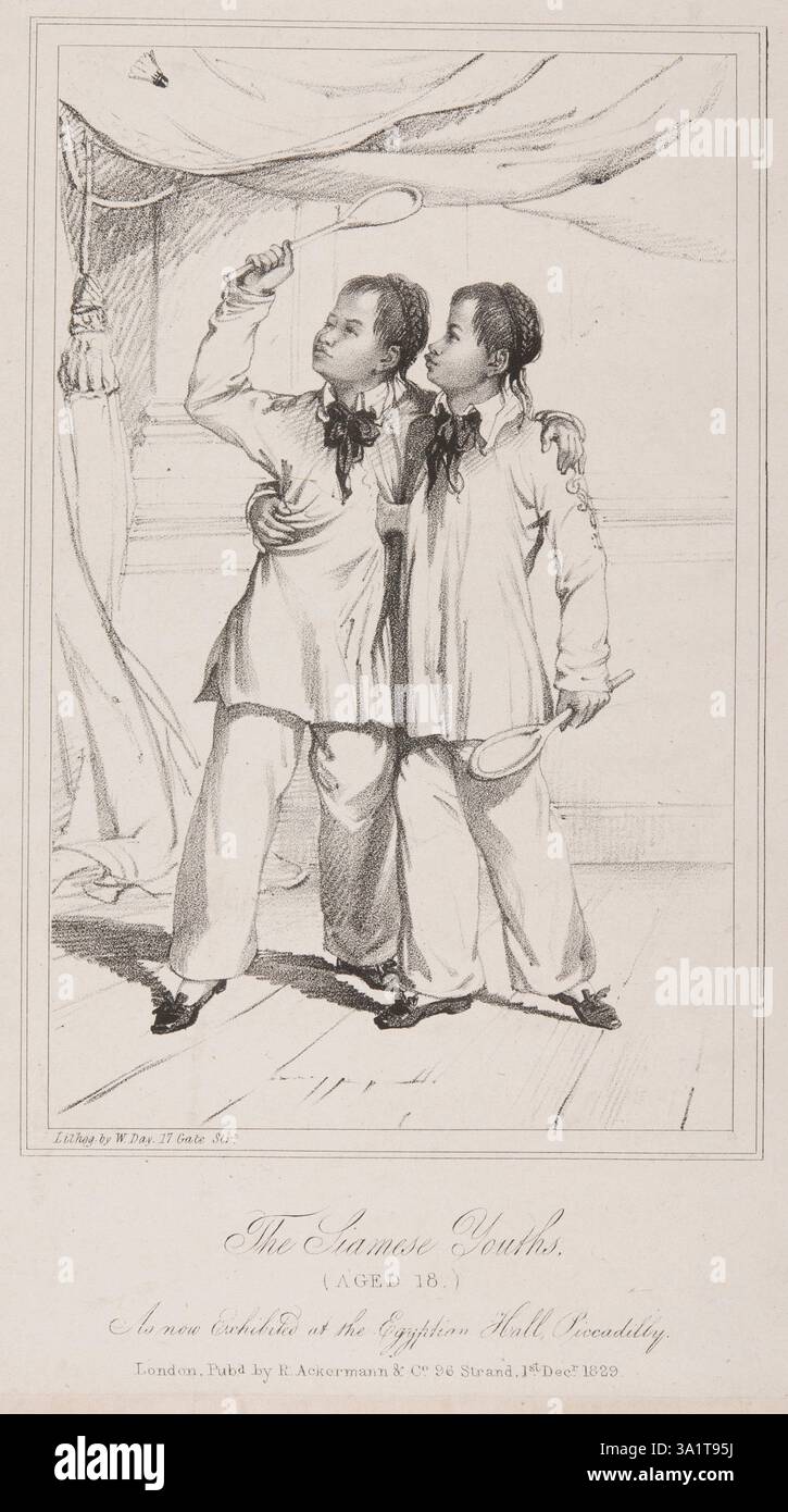 'The Siamese Youth., (18 ans), tel qu'exposé à la salle égyptienne, Piccadilly', 1829. Affiche annonçant une attraction à l'Egyptian Hall de Londres, montrant Chang et Eng Bunker, frères jumeaux Unis. Chang et Eng ont été largement exposés comme 'curiosités' dans le monde entier. Leur renommée a fait que l'expression «jumeaux siamois» est devenue synonyme pour les jumeaux conjoints en général. Nés dans ce qui est maintenant la Thaïlande, les frères ont été amenés aux États-Unis en 1829. La même année, ils étaient exposés à Londres, pour lesquels ils ont reçu une part du profit. À l'époque, ils ont été décrits comme 'deux jeunes o Banque D'Images