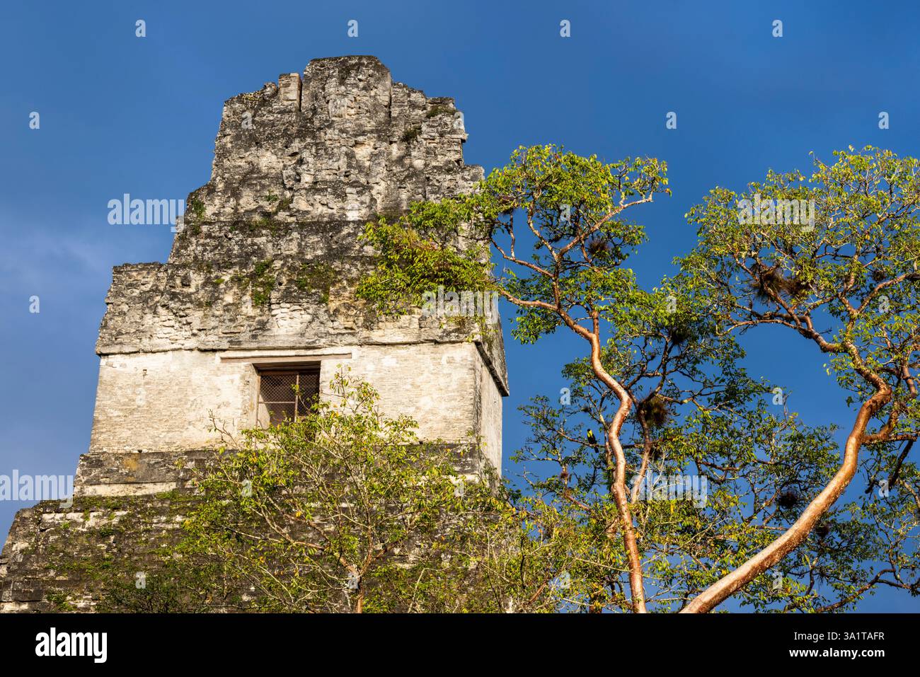 Temple I au site maya de Tikal, Guatemala, Amérique centrale Banque D'Images