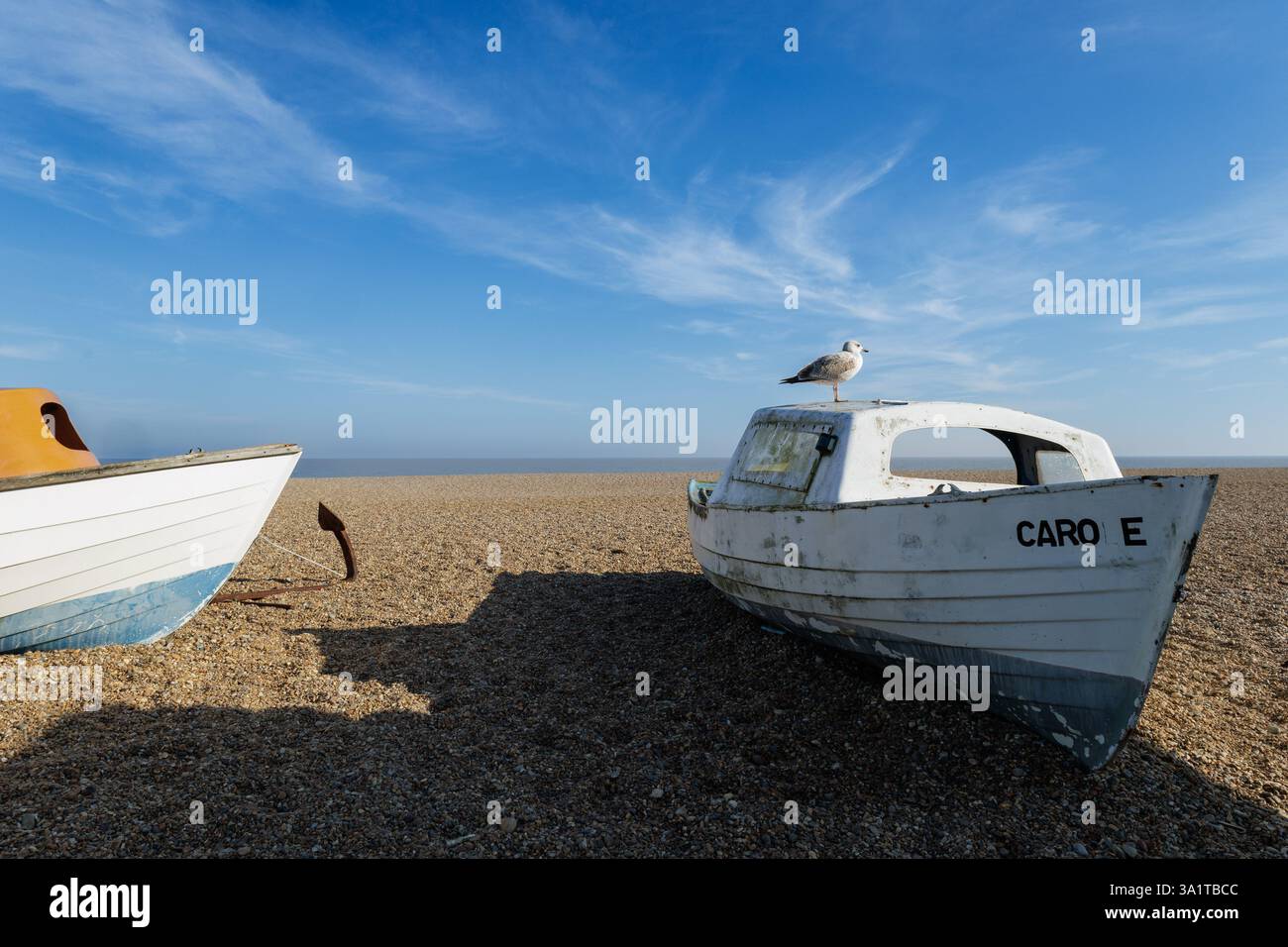 Mouette perchée sur un petit bateau à la plage d'Aldeburgh, Suffolk. Banque D'Images