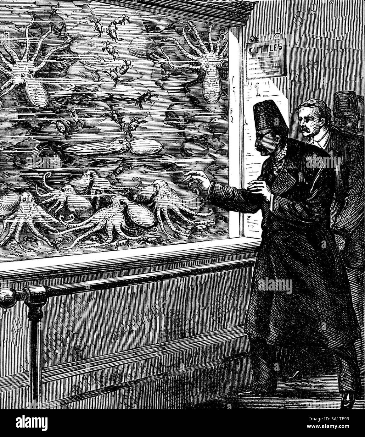 Au Crystal Palace : nourrir le poisson-tarte dans l'Aquarium, 1873. Le Shah de Perse à Londres. 'Le Shah était tellement satisfait du Crystal Palace qu'il a choisi d'y aller jeudi, au lieu de prendre son départ d'Angleterre, comme il l'avait prévu, ce jour-là. C'était un jour d'admission ordinaire de shilling, sans nouveauté ou spécialité particulière dans la liste des divertissements... son Majesty...descended à l'aquarium marin, où Mr. W. A. Lloyd, le surintendant, attendait de le recevoir. Comme le Shah est venu à l'avant de verre de chaque réservoir, la nourriture sur laquelle les créatures en moi Banque D'Images