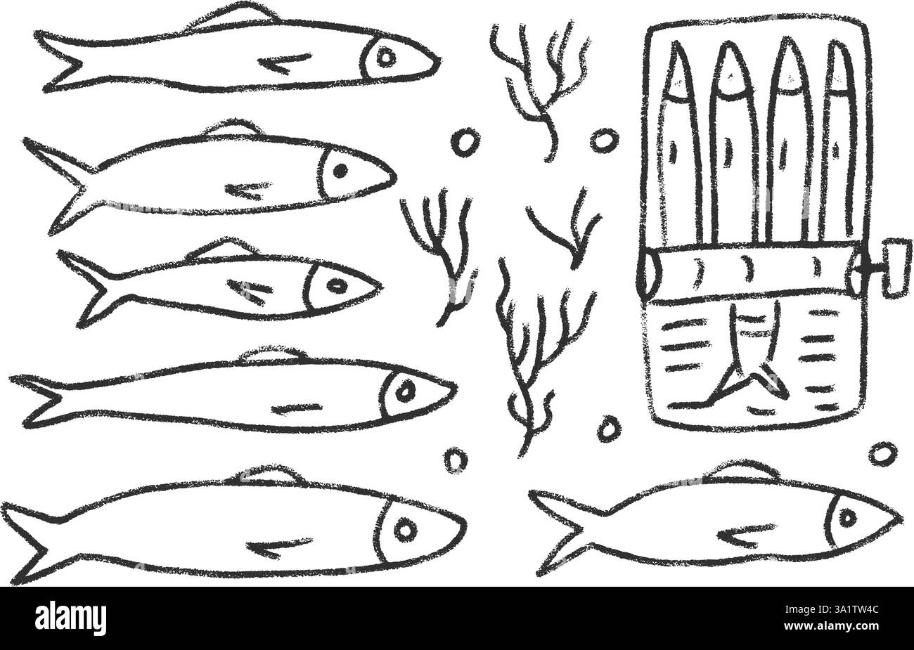 Ensemble de griffonnages de ligne de sardines. Poisson en conserve gribouillage dessiné à la main. conserves de poissons. Ouvrez le moule à sardine. Vecteur conserver manger illustration par crayon isolé sur whi Illustration de Vecteur