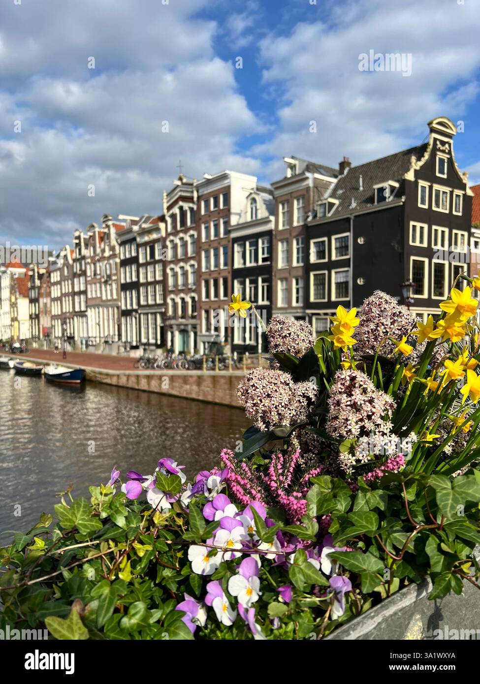 Un arrangement floral vibrant sur un pont avec les canaux d'Amsterdam et les bâtiments historiques en arrière-plan - Image de stock capturée avec un smartphone