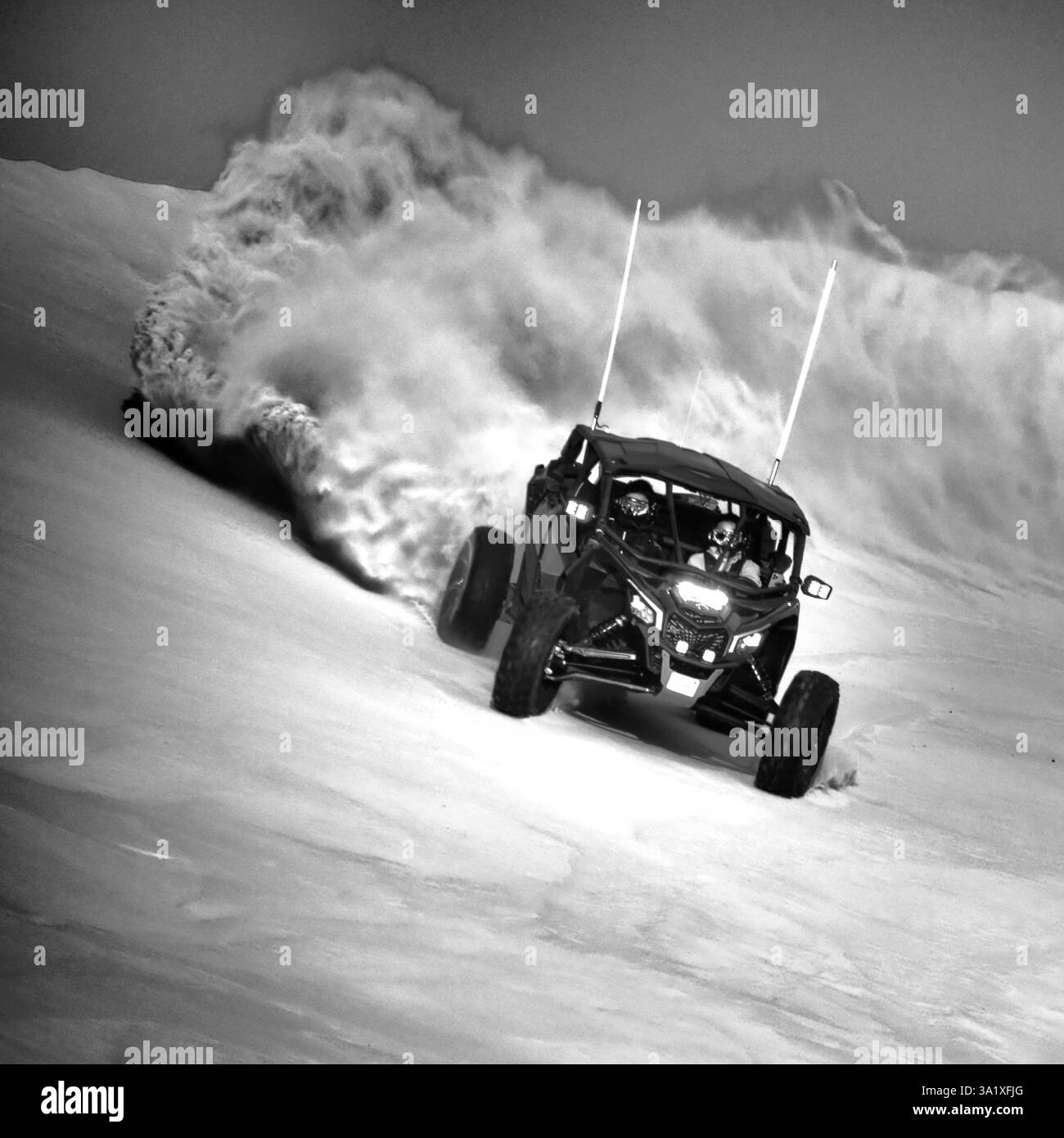 Courses de Dunebuggy dans le désert Banque D'Images
