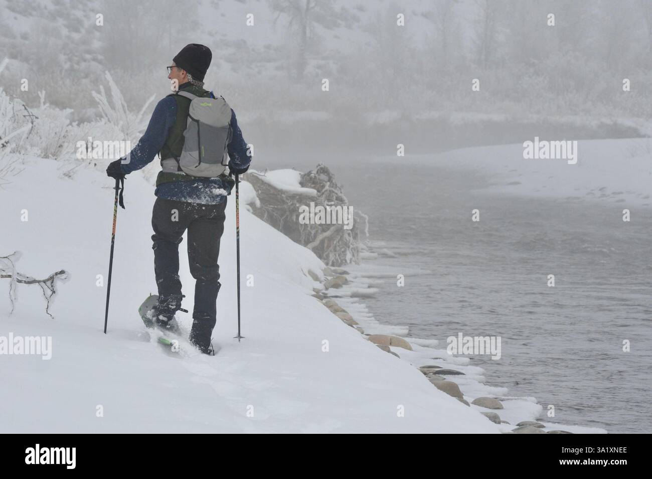 Scène de loisirs hivernaux avec randonnée en raquettes le long de la rivière gros ventre dans le parc national de Grand Teton, Wyoming. Banque D'Images