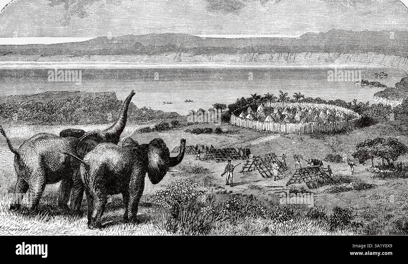 ÉLÉPHANTS près du lac Tanganyika dans une gravure du dernier Journa;s de David Livingstone publié en 1875 Banque D'Images