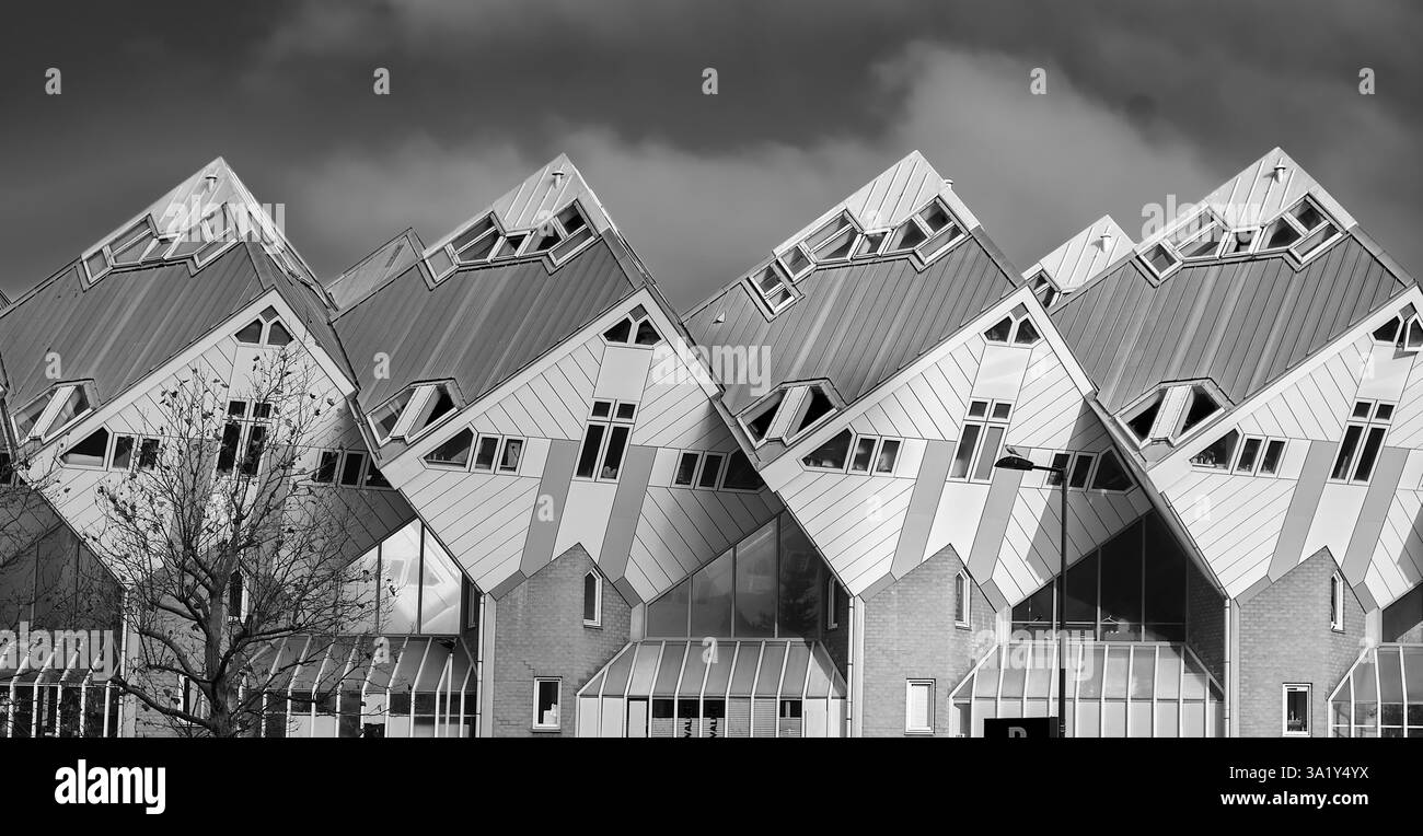 Les emblématiques Cube Houses de Rotterdam, un chef-d’œuvre architectural audacieux où géométrie et design se rencontrent dans un paysage urbain dynamique. Banque D'Images