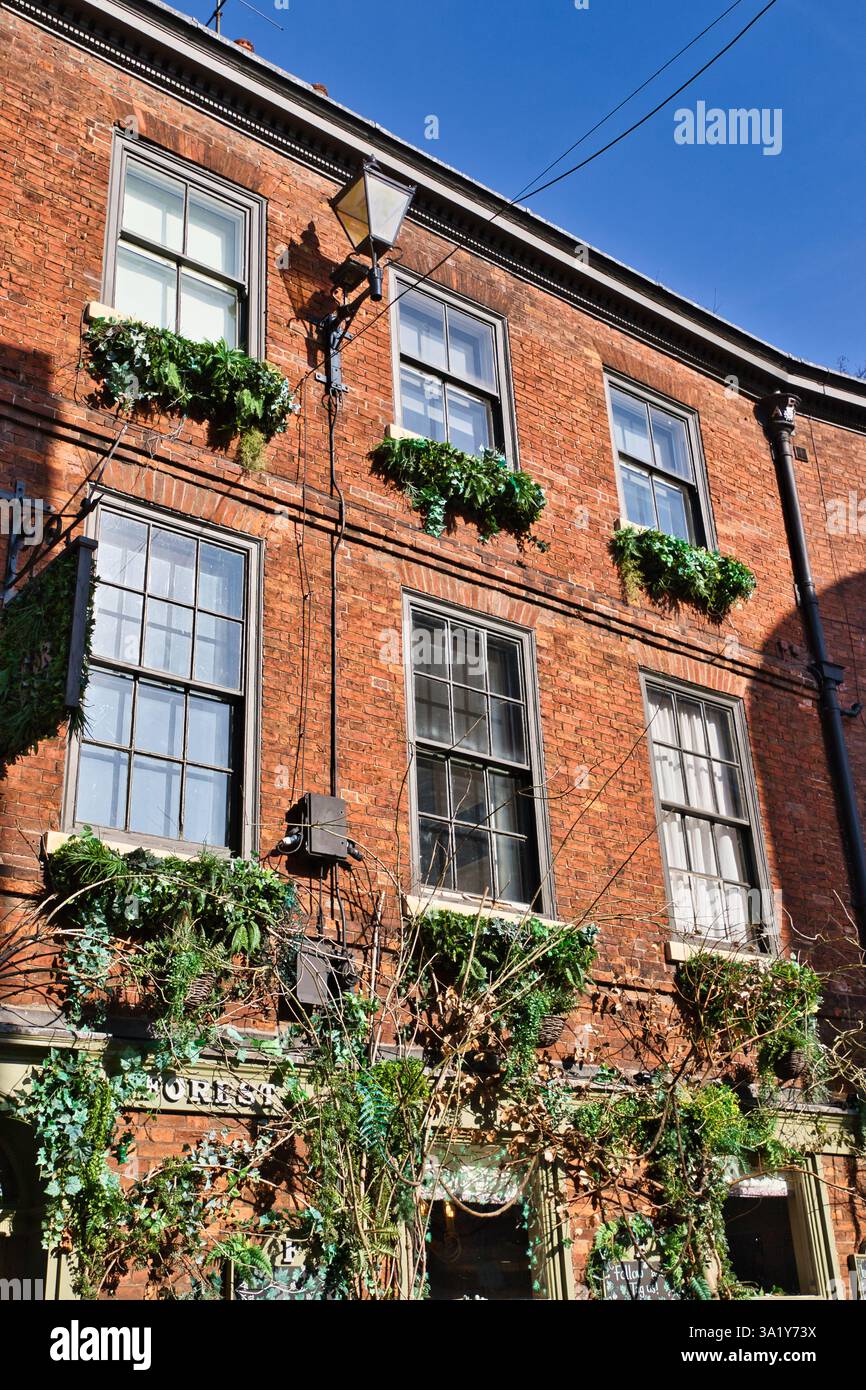 Façade de bâtiment en briques rouges avec fenêtres, caissons de fenêtre, végétation et un lampadaire contre un ciel bleu à York, Royaume-Uni. Banque D'Images