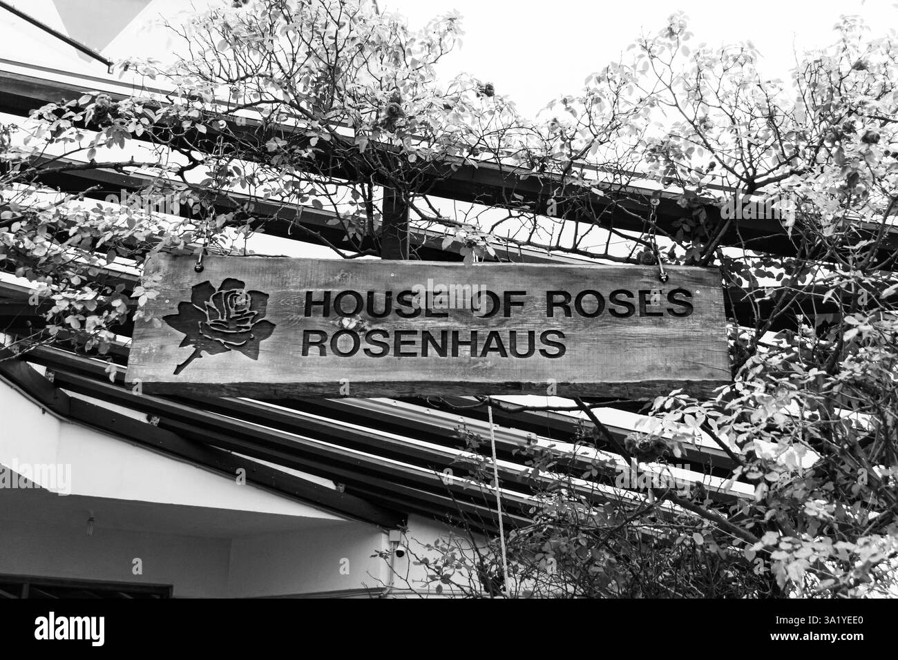 Agros, Chypre- 21 décembre 2024 : panneau d'entrée de la Maison des Roses au magasin d'usine Banque D'Images