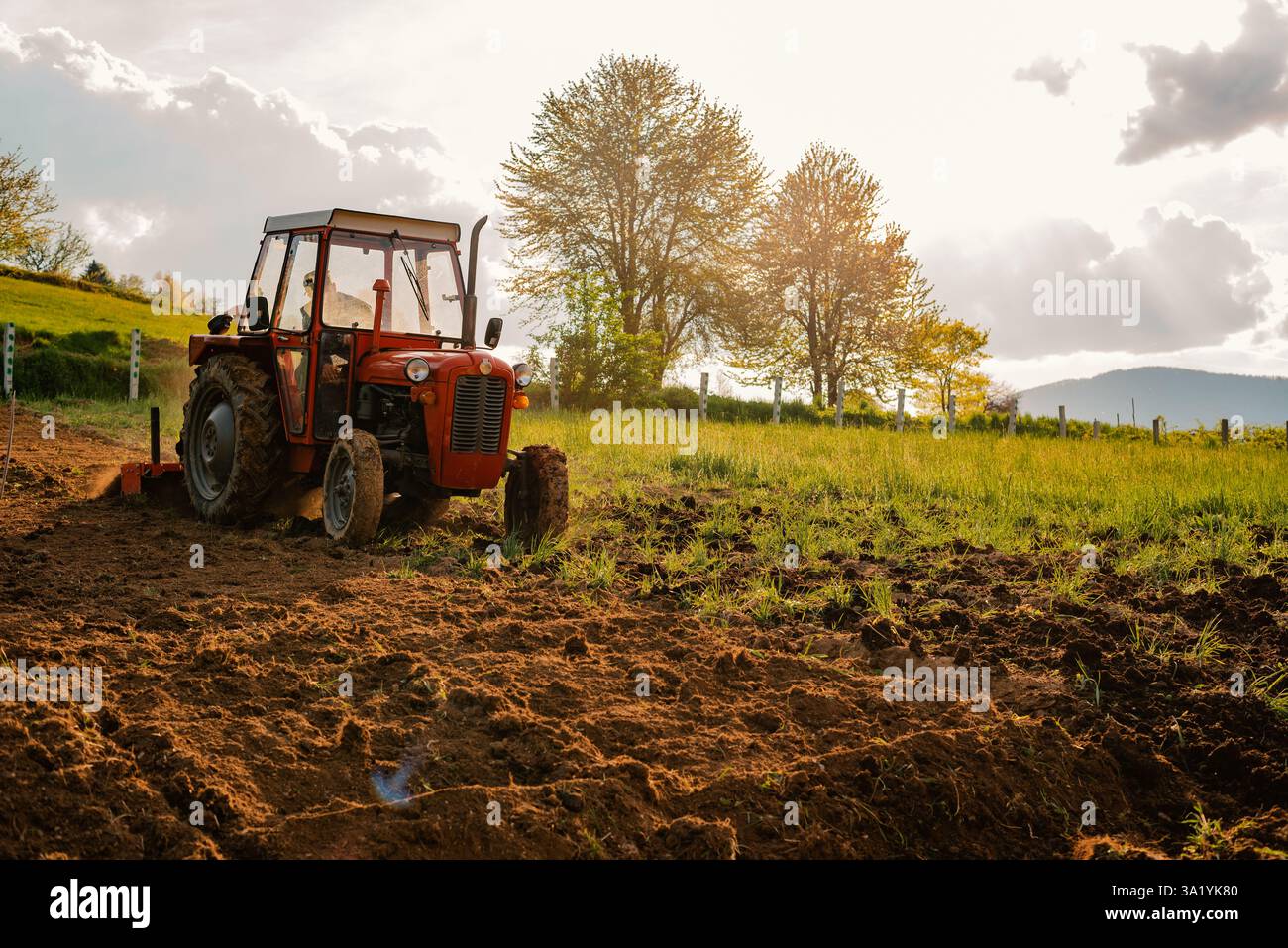 Tracteur semant les cultures dans les champs agricoles au printemps. Banque D'Images