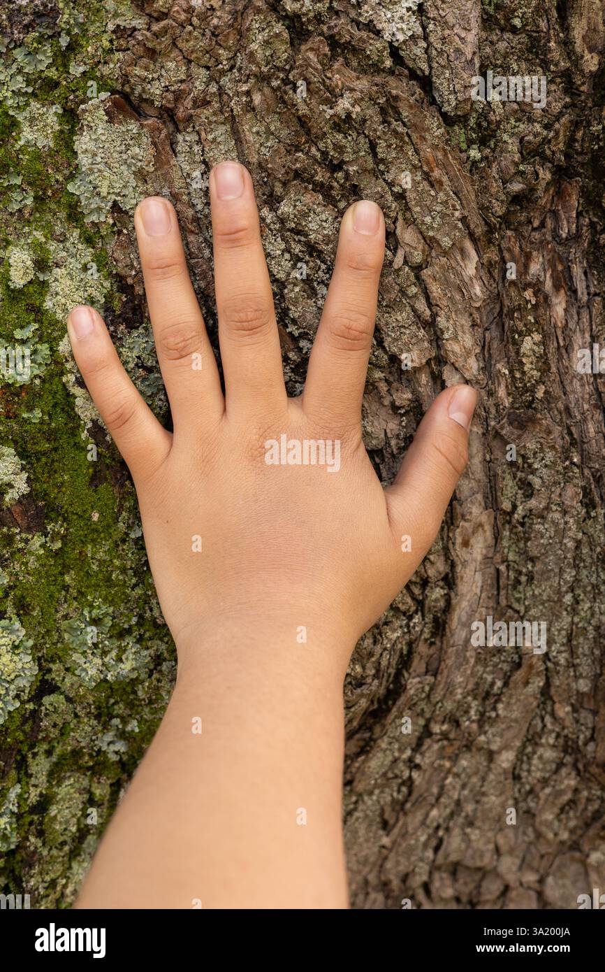 Gros plan d'une main avec les cinq doigts tendus, reposant doucement sur le tronc d'un arbre, se connectant avec la nature. Banque D'Images