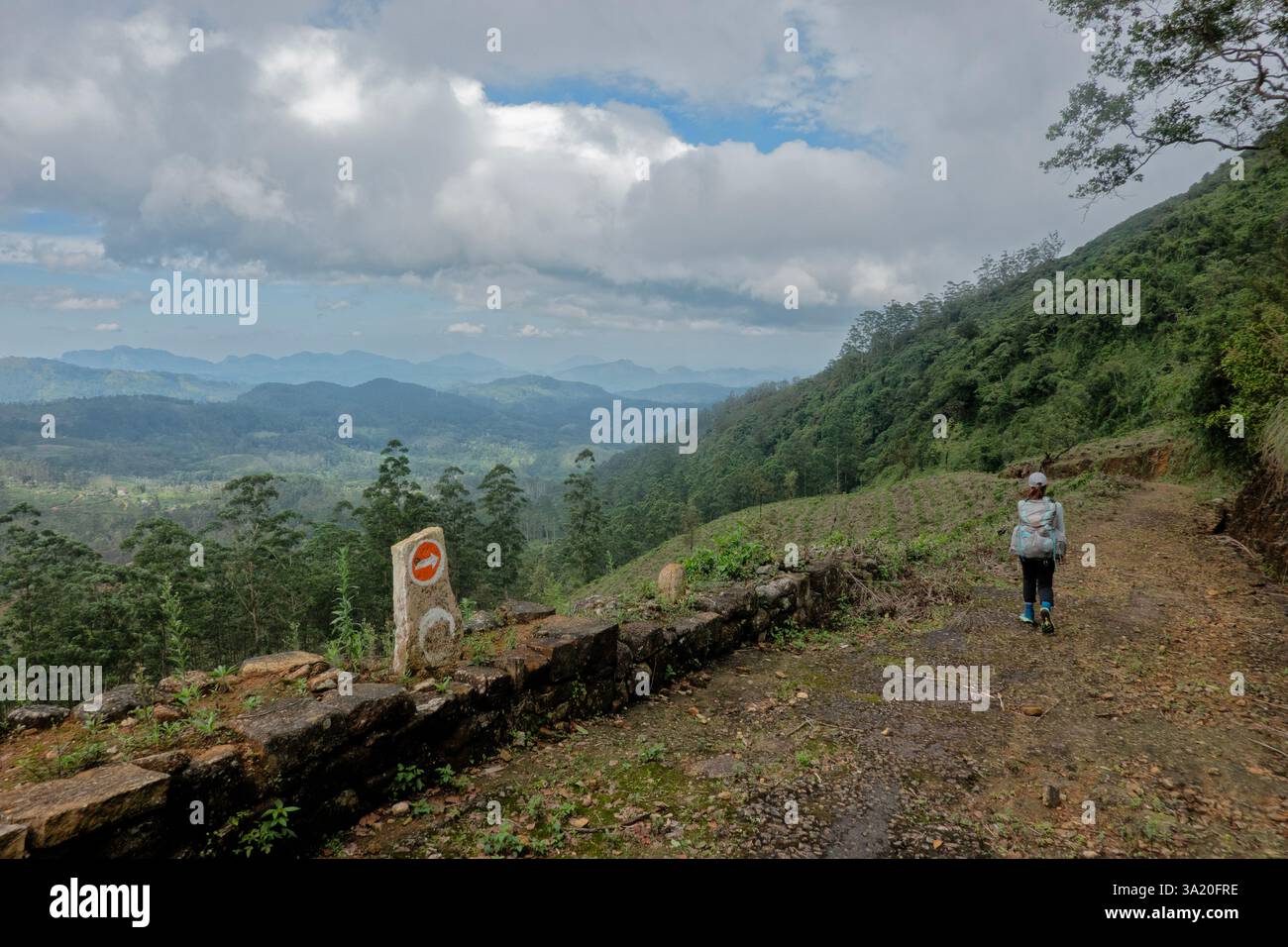 Traversée du col de Stellenberg sur le Pekoe Trail, Pupuressa, Sri Lanka Banque D'Images