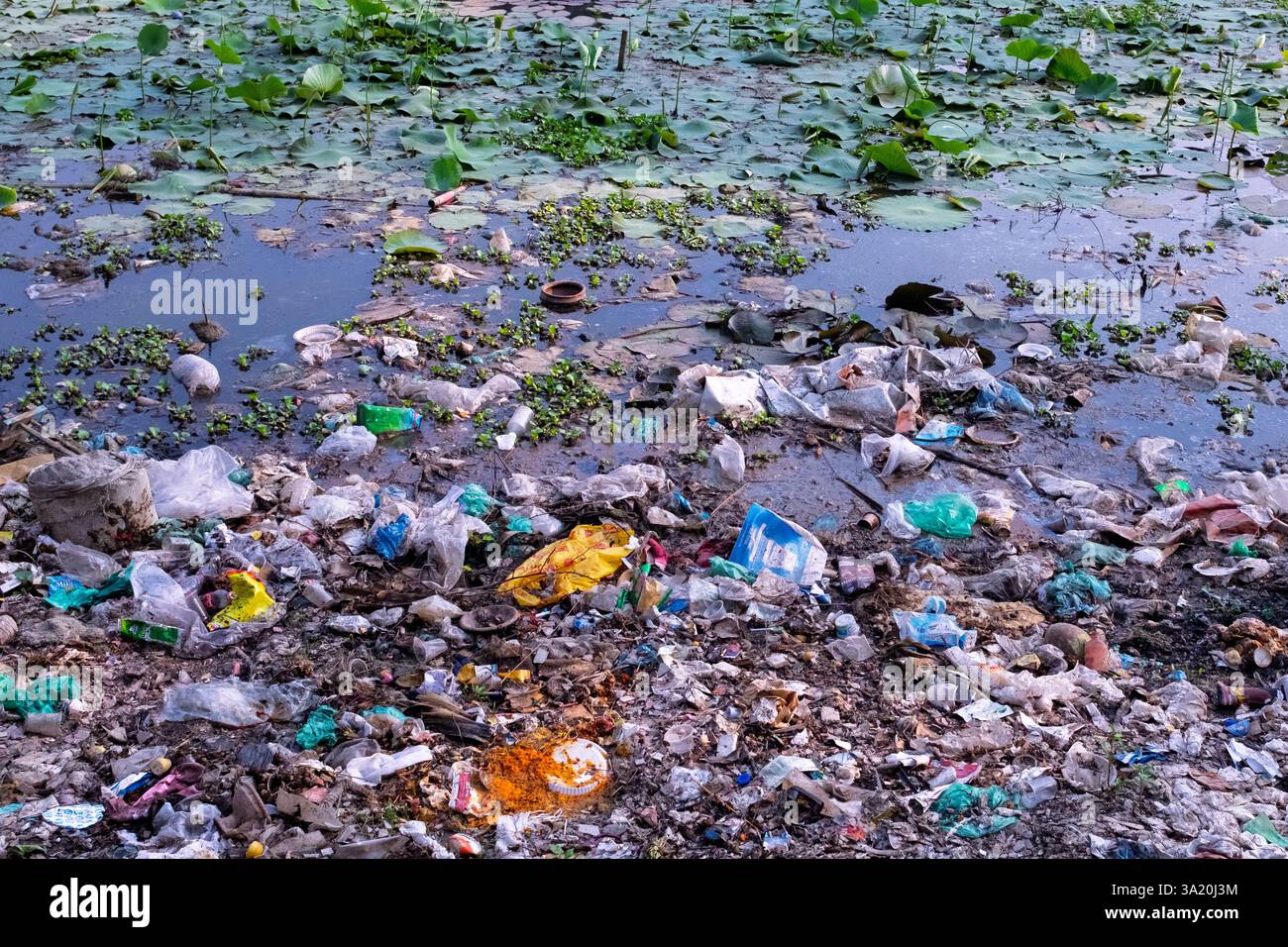 Déchets polluant un étang, Dhaka, Bangladesh Banque D'Images