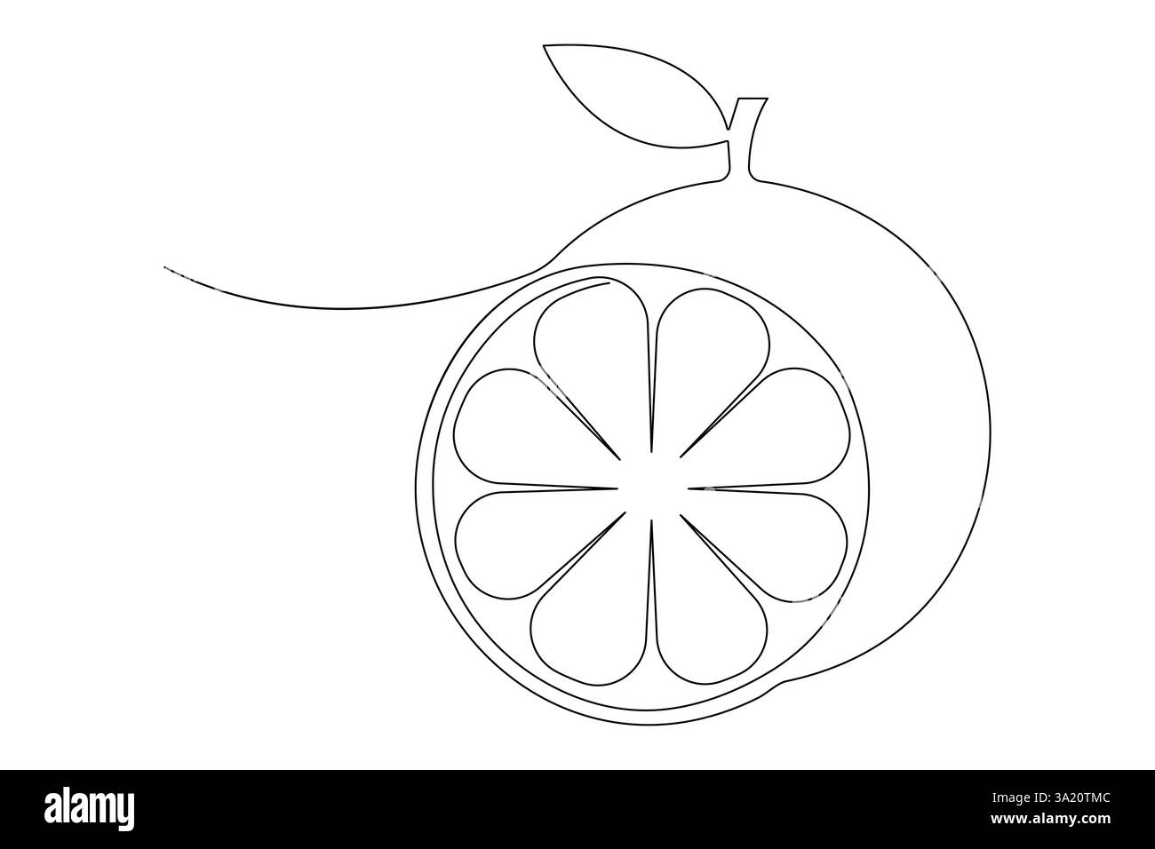 Vectoriel abstrait continu d'une seule ligne dessin d'art de fruit orange icône dans le croquis Illustration de Vecteur