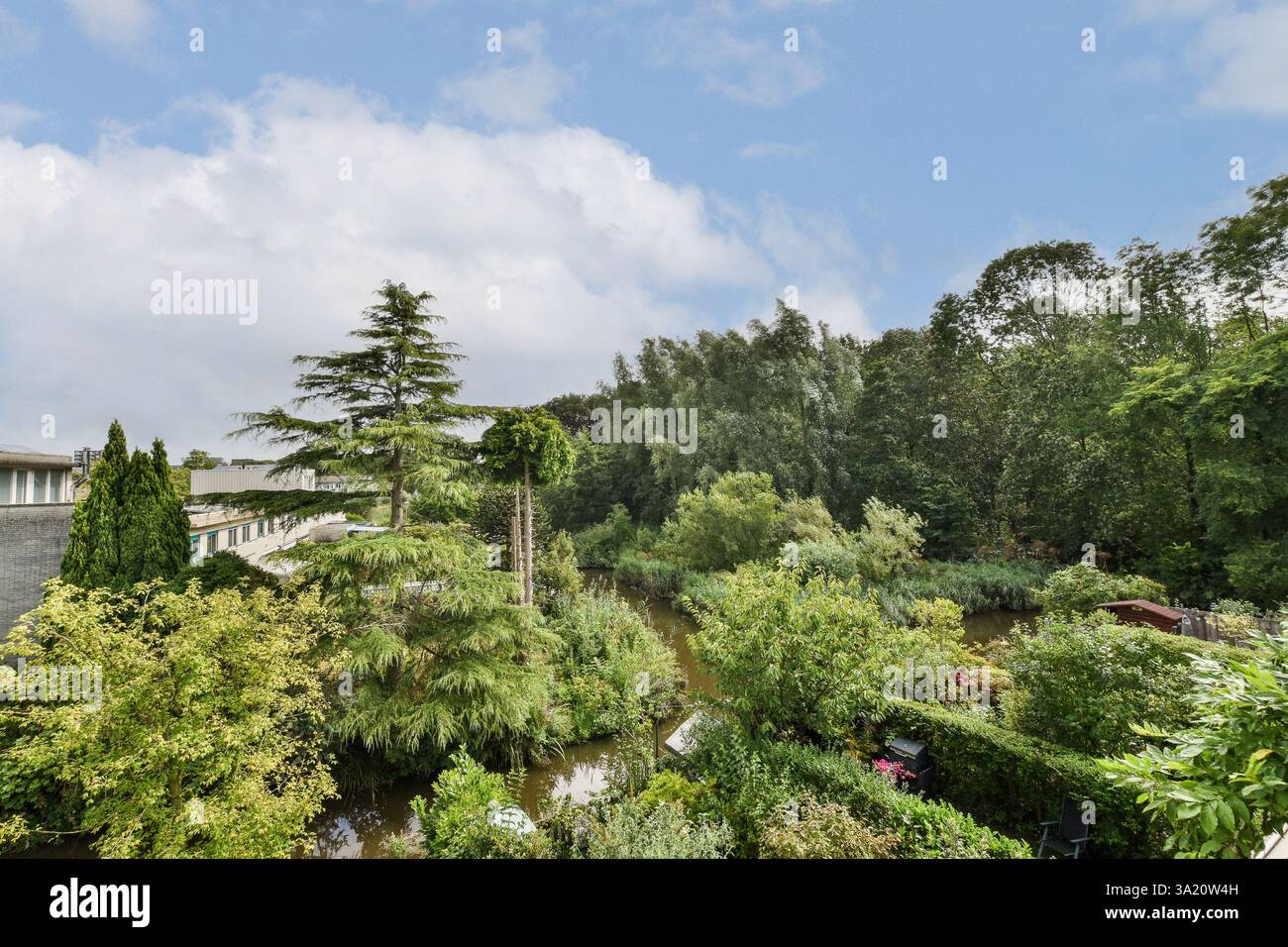 Un jardin animé présentant une variété de plantes et d'arbres luxuriants, complété par un plan d'eau tranquille entouré d'un riche feuillage. Banque D'Images