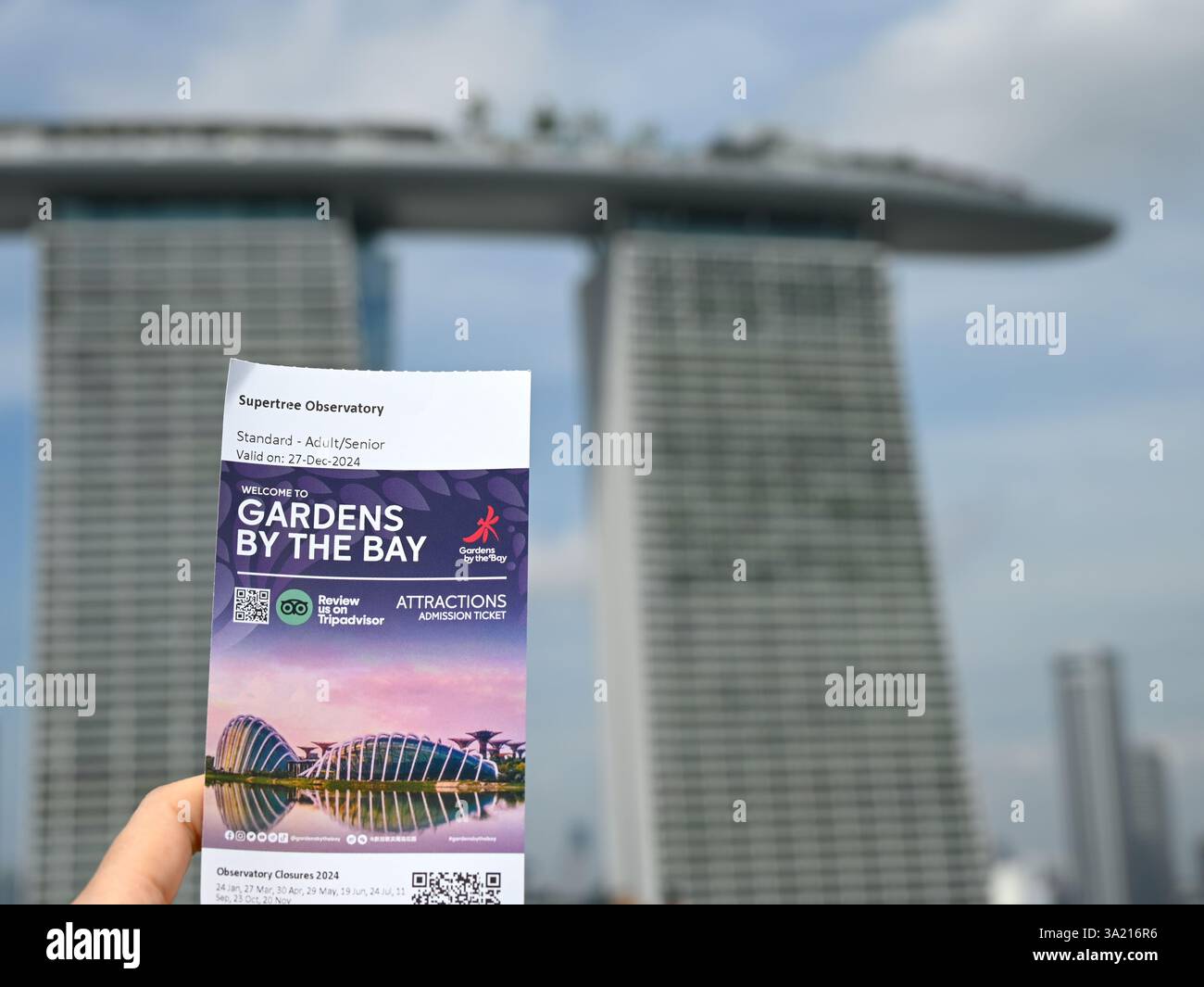 Billet Gardens by the Bay à main humaine avec paysage urbain de Singapour en arrière-plan. Banque D'Images