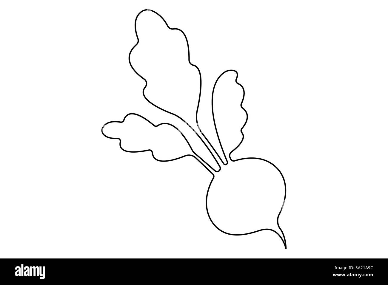 Dessin simple d'une ligne de l'icône entière de radis organique sain, illustration vectorielle de concept de légumes frais Illustration de Vecteur