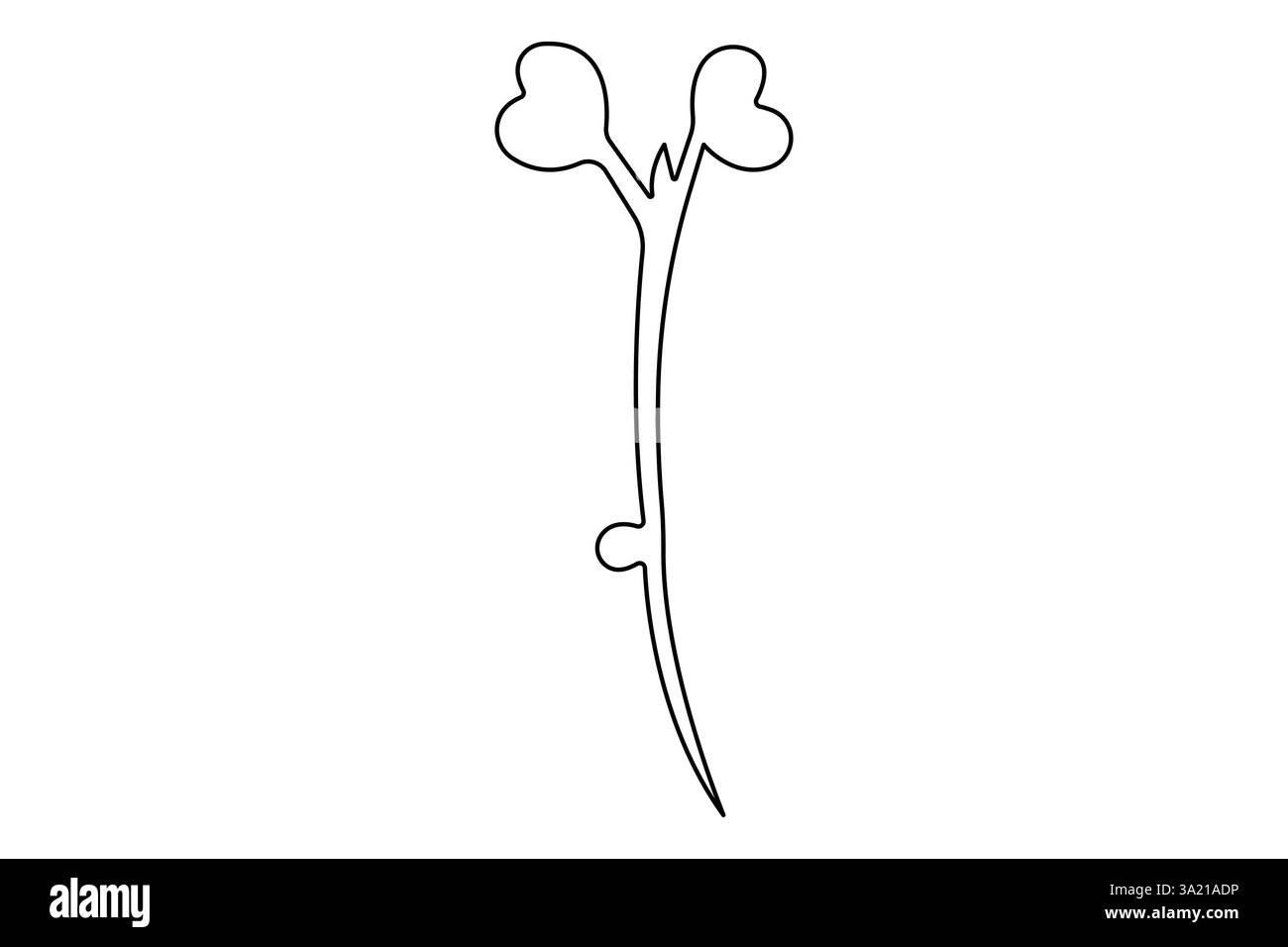 Dessin simple d'une ligne de l'icône entière de radis organique sain, illustration vectorielle de concept de légumes frais Illustration de Vecteur