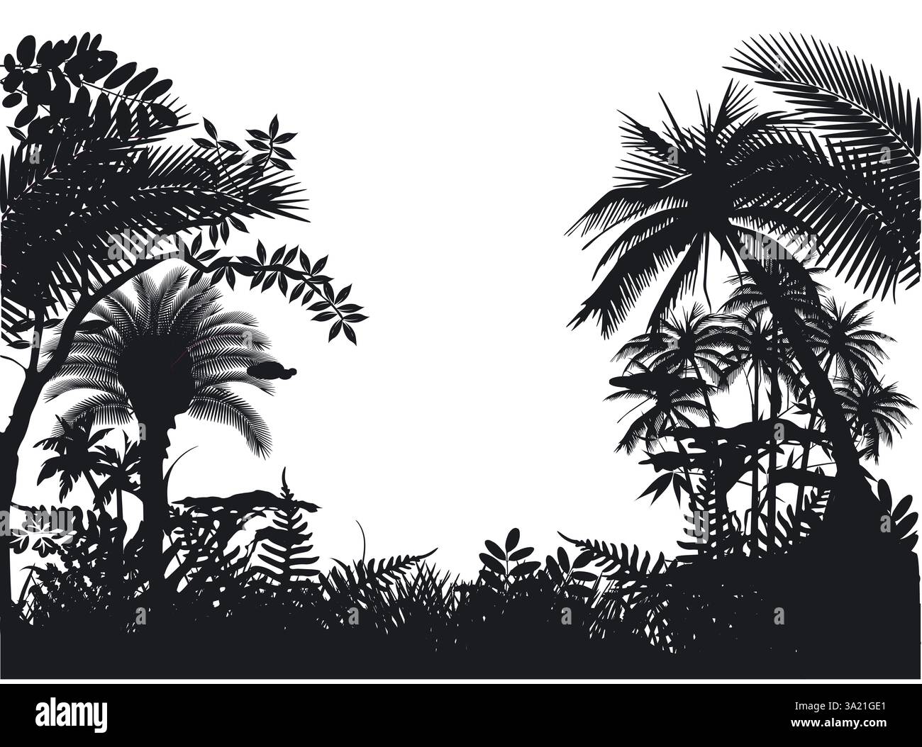 jungle noire, isolée sur illustration blanche Banque D'Images