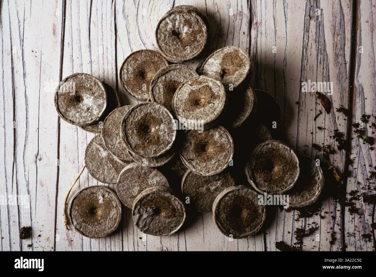 Pile de bouchons de compost Jiffy 7 dans un environnement de plan de travail d'abri de jardinage : Phillip Roberts Banque D'Images