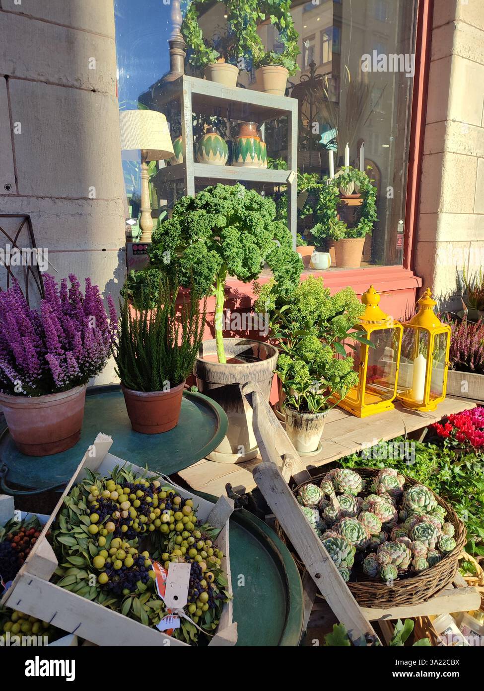 Exposition d'angle de magasin de fleuriste ensoleillé avec frisé dans le centre de la ville de Stockholm pendant la saison d'automne Banque D'Images