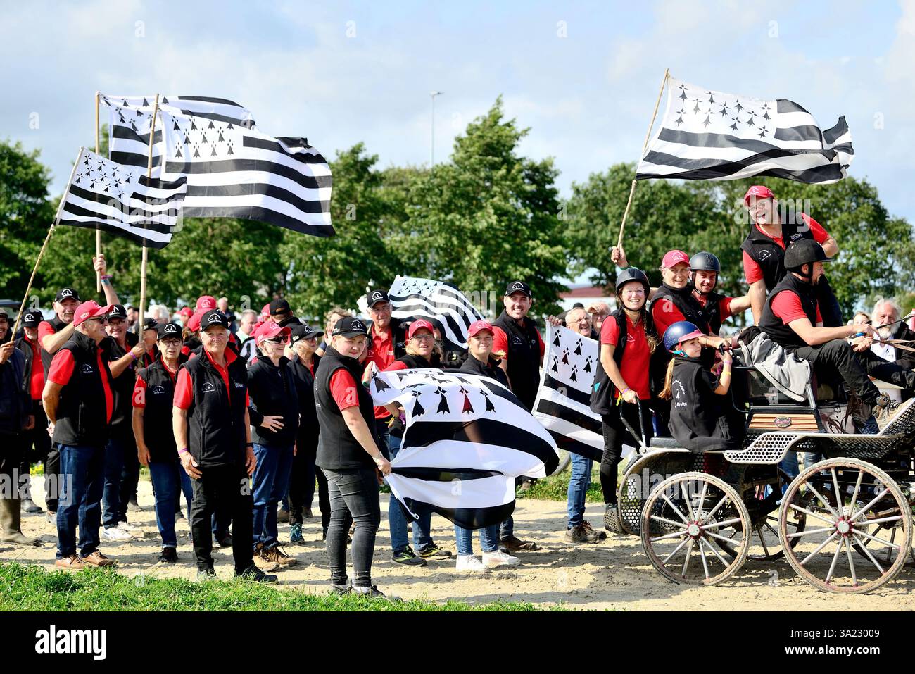 Landivisiau (Bretagne, nord-ouest de la France), 2024/25 : « route trait Breizh », une compétition internationale de chevaux de trait en Bretagne. Fin du compe Banque D'Images