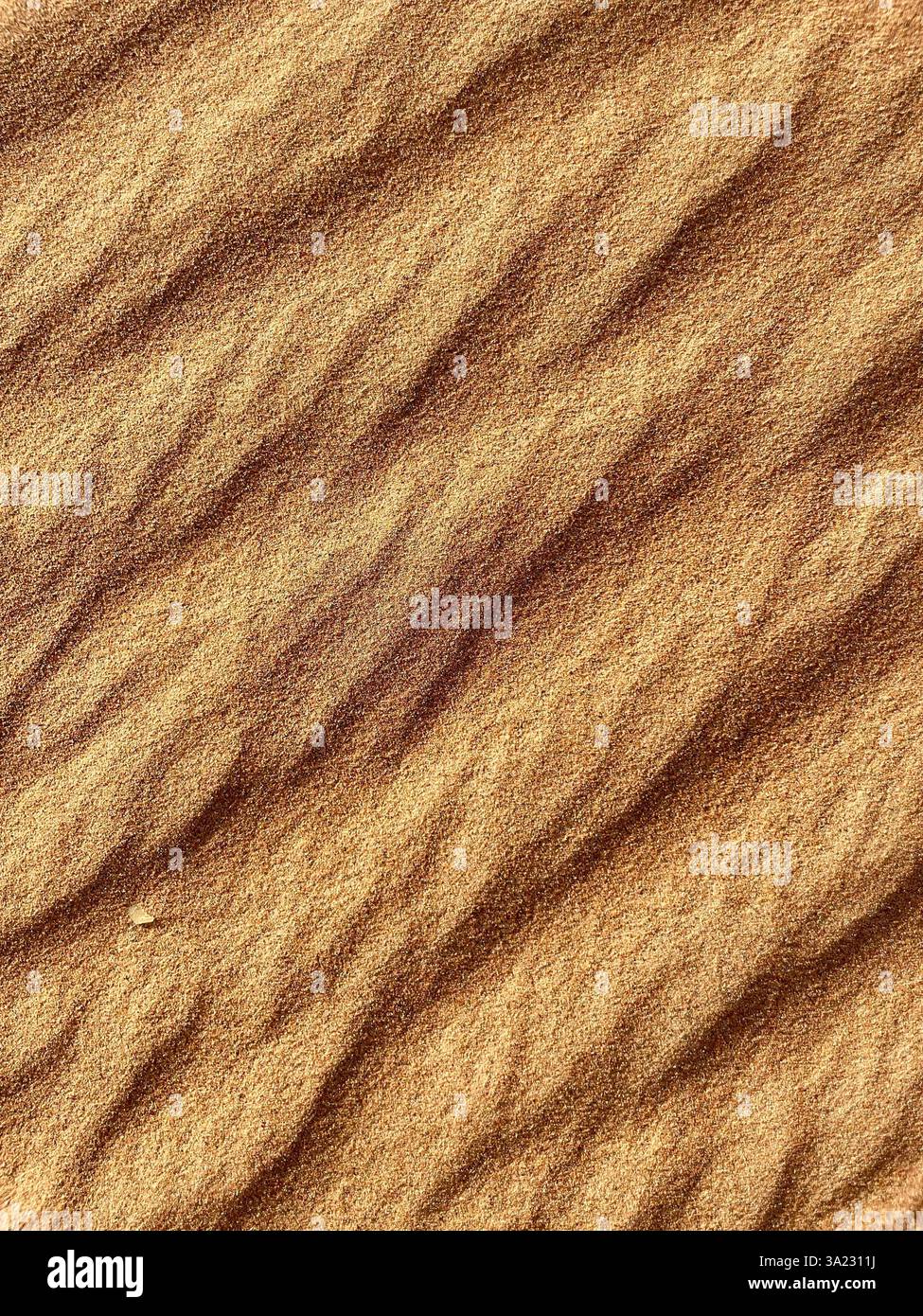 Motifs dans les dunes de sable dorées - Image de stock capturée avec un smartphone