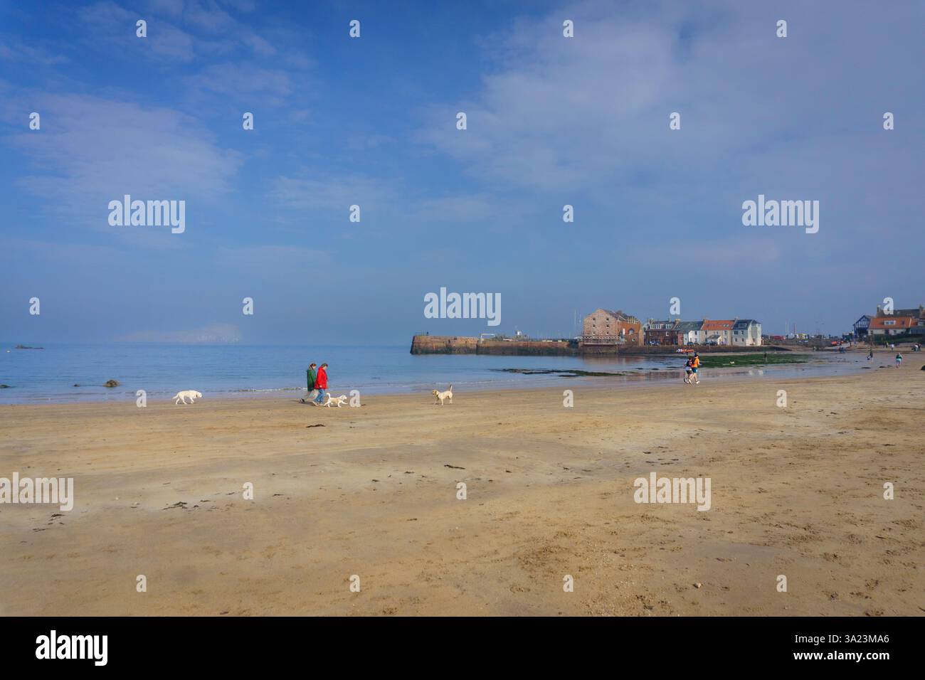 Un après-midi de printemps ensoleillé dans la ville côtière de North Berwick, en Écosse Banque D'Images