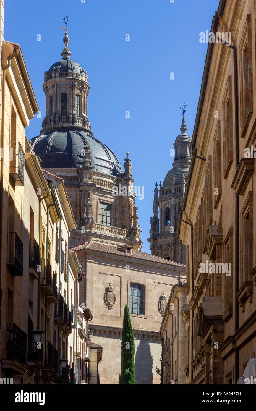 Salamanque, Castille et León, Espagne Banque D'Images