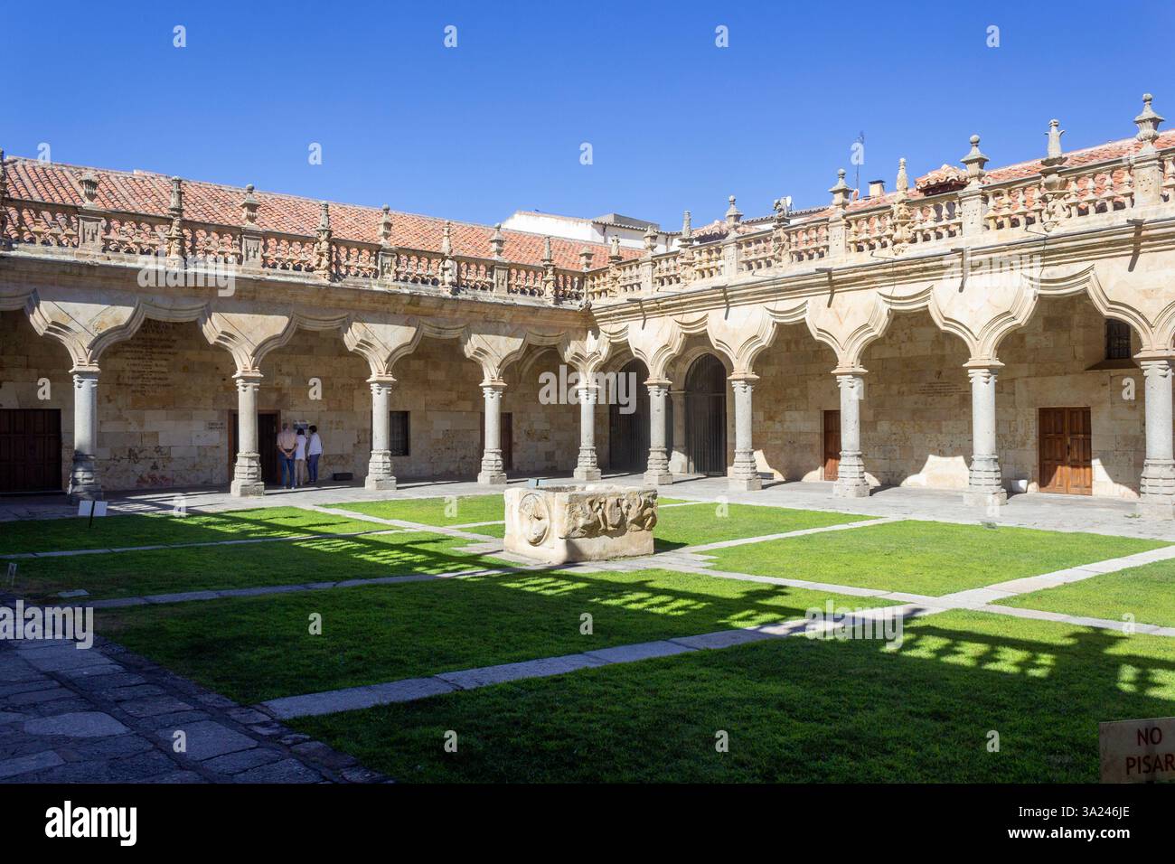 Salamanque, Castille et León, Espagne Banque D'Images