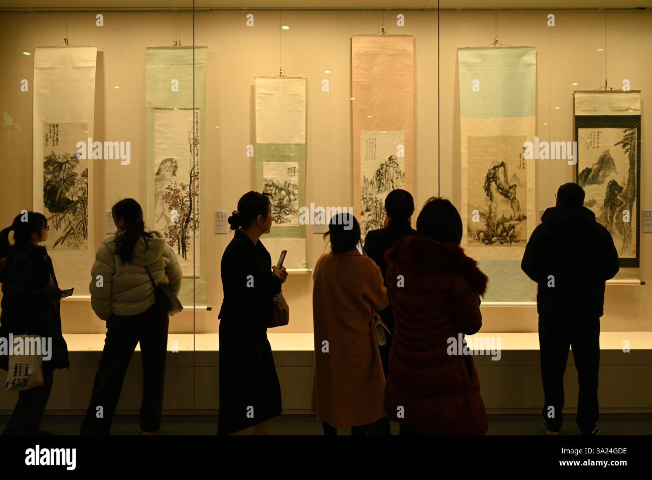 Les visiteurs regardent une exposition d'œuvres de peintres célèbres du XXe siècle à Nanning, dans la région autonome du Guangxi Zhuang, en Chine du Sud, le 11 mars 2025. Banque D'Images