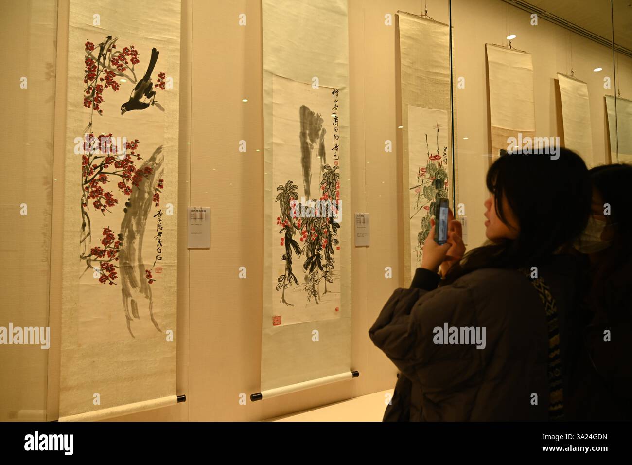 Les visiteurs regardent une exposition d'œuvres de peintres célèbres du XXe siècle à Nanning, dans la région autonome du Guangxi Zhuang, en Chine du Sud, le 11 mars 2025. Banque D'Images