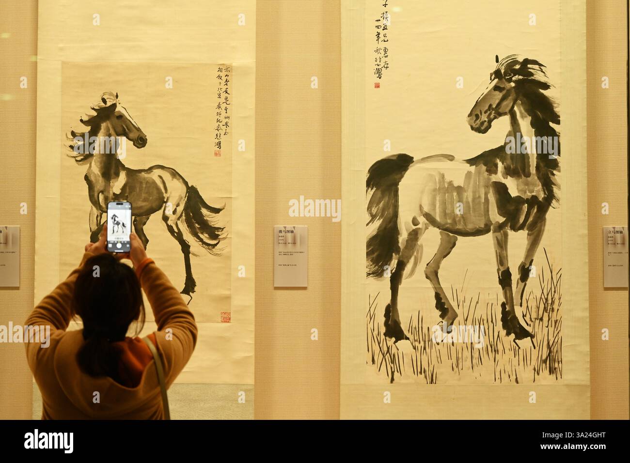 Les visiteurs regardent une exposition d'œuvres de peintres célèbres du XXe siècle à Nanning, dans la région autonome du Guangxi Zhuang, en Chine du Sud, le 11 mars 2025. Banque D'Images