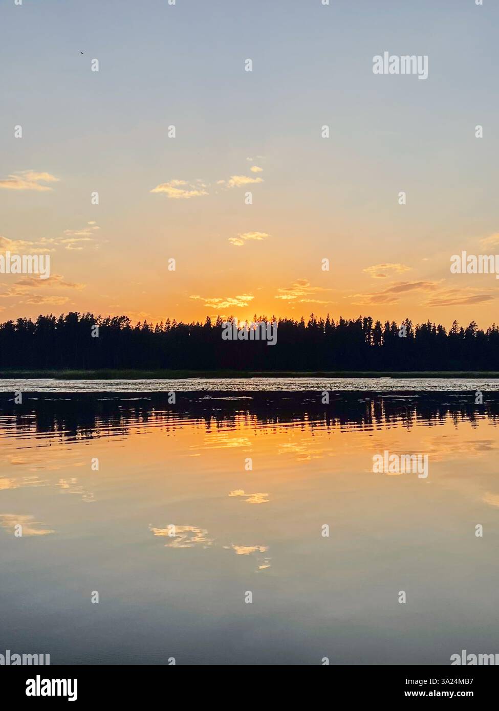 Un doux coucher de soleil doré se reflète doucement sur la surface d'un lac immobile, avec des arbres bordant l'horizon lointain. Les teintes chaudes se fondent dans le ciel, créant - Image de stock capturée avec un smartphone